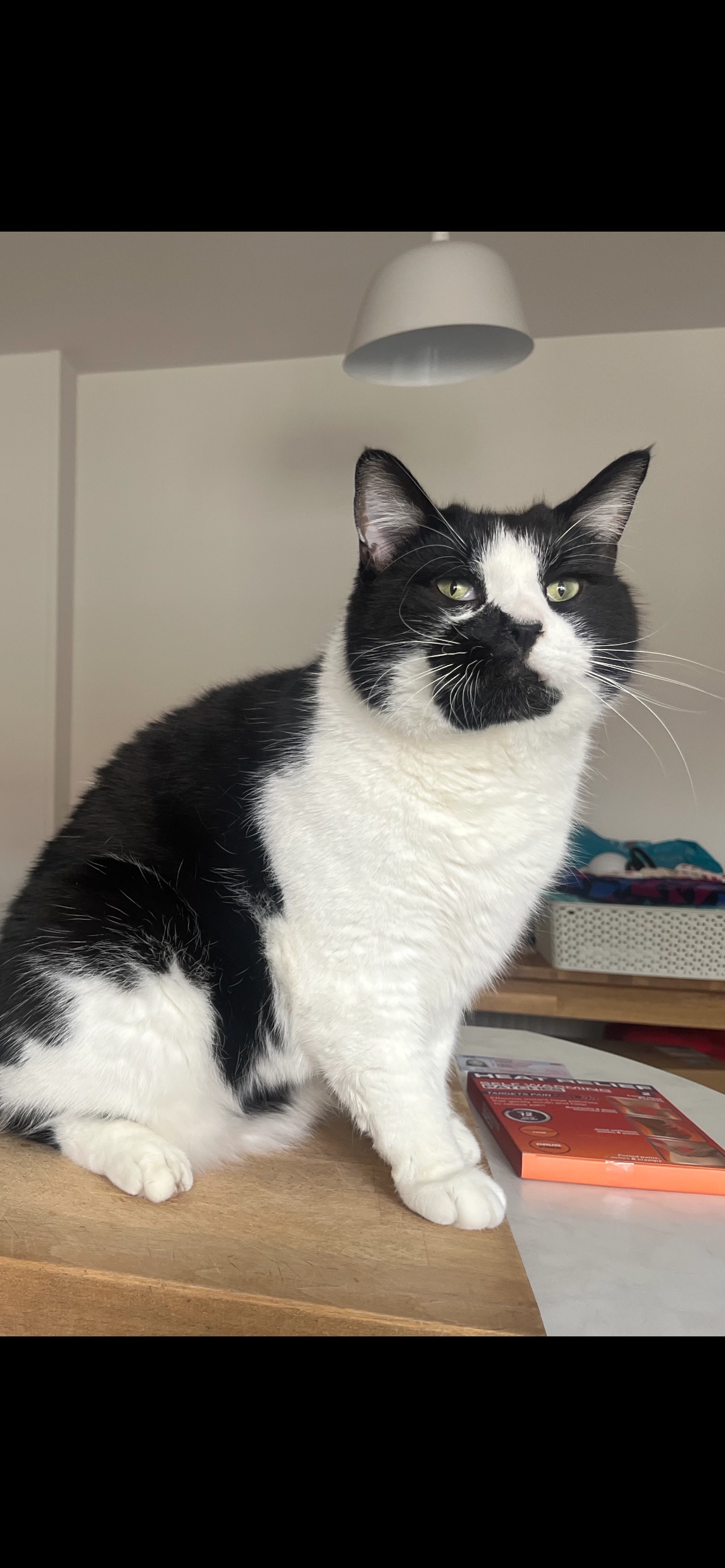 Popeye - Chesterfield Street, Nottingham