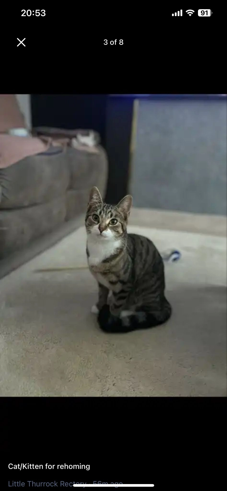 Nyla - Broomhill Road, Rochester