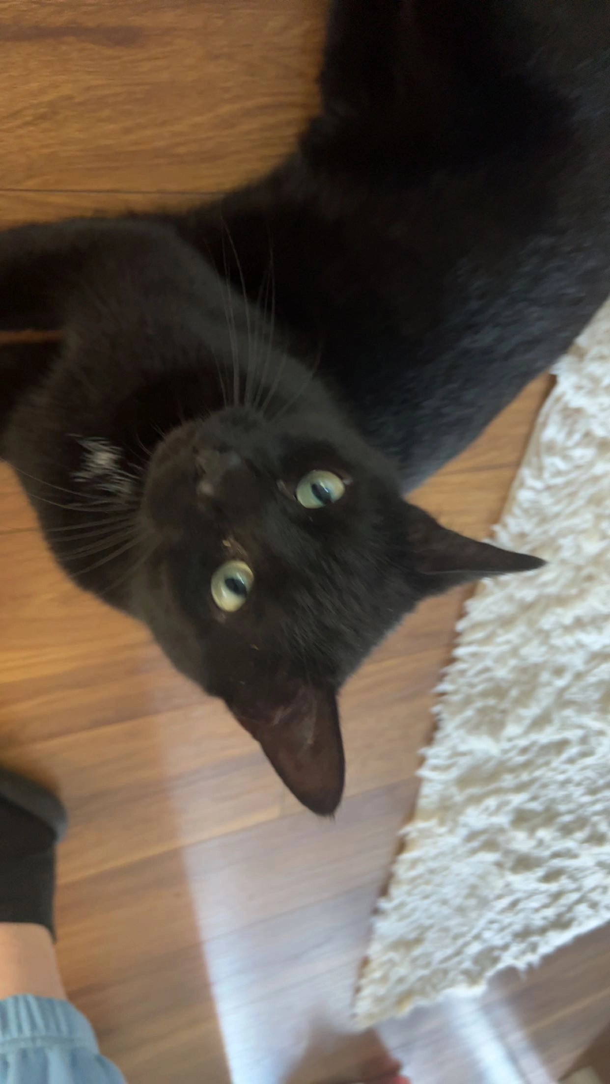 Jimmy - Friedhofstraße, Baden-Baden