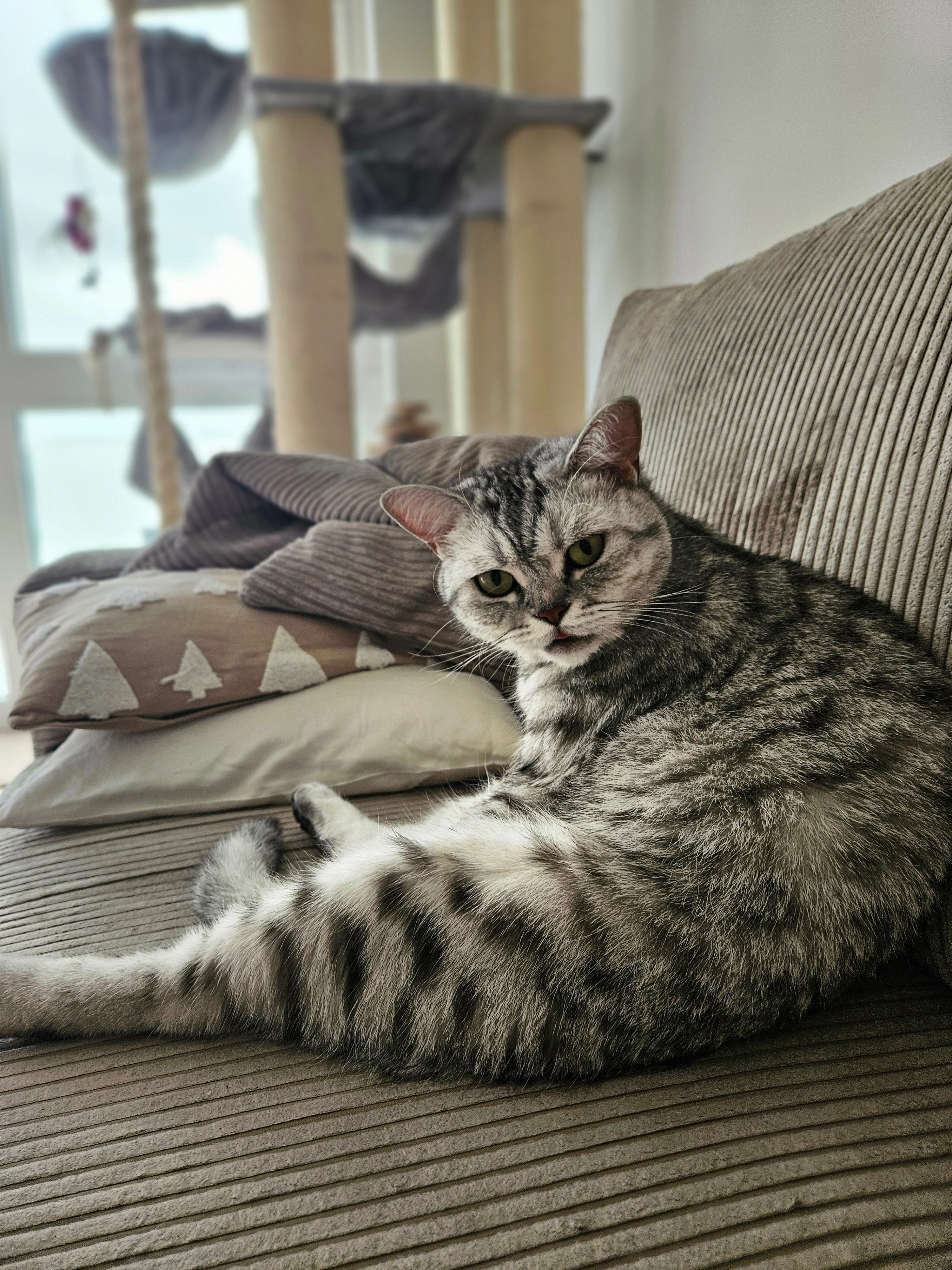 Mailo - Salinenstraße 4, Bad Friedrichshall