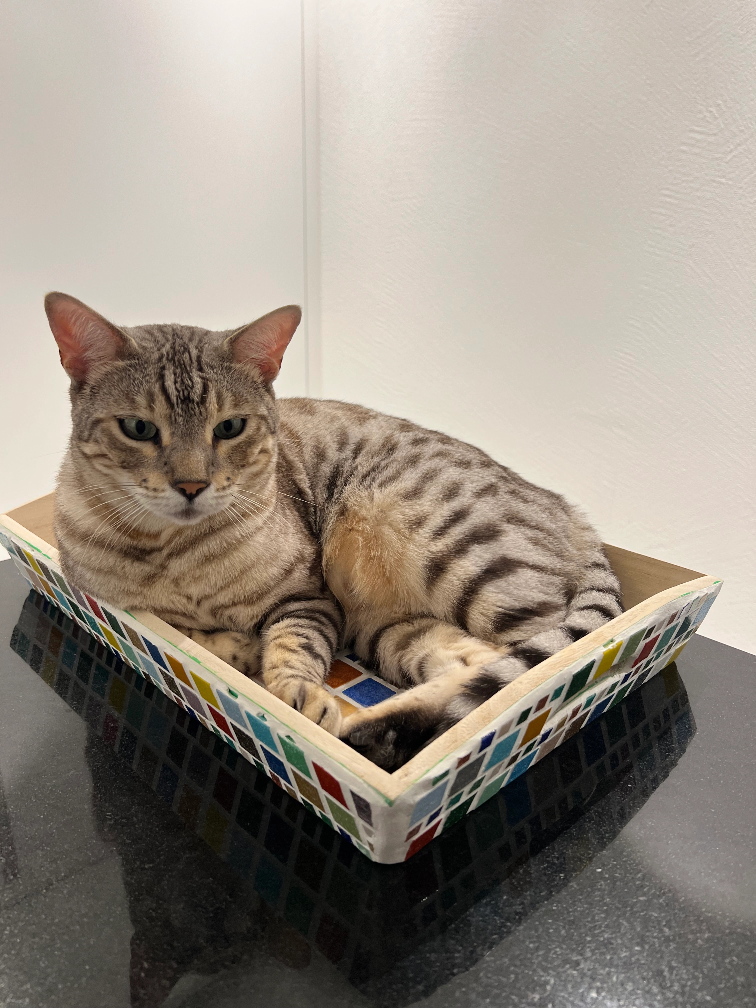 Milo - Salzgäbastrasse 3c, Davos