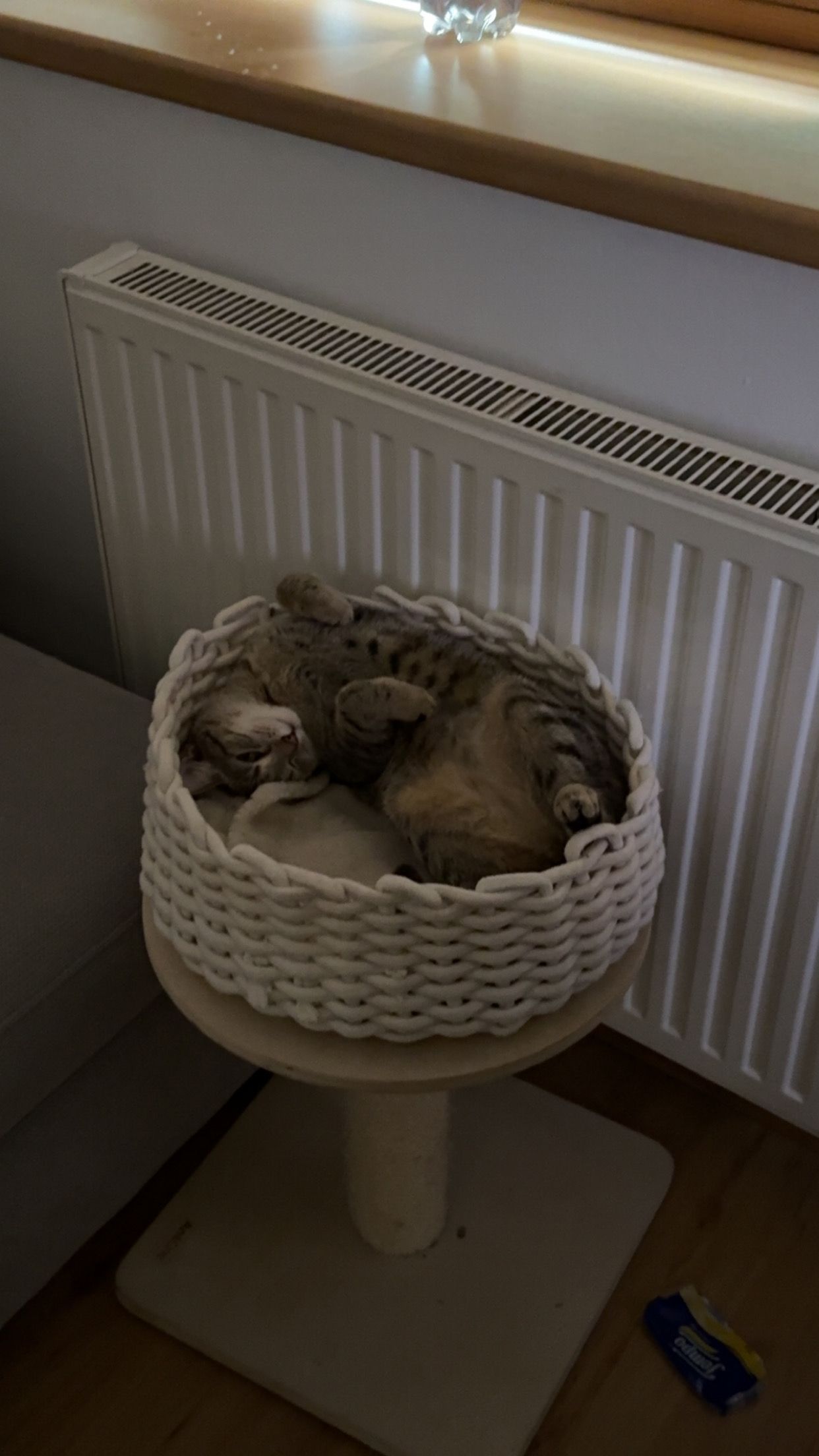 Minnie - Millstätter Straße, Feld am See