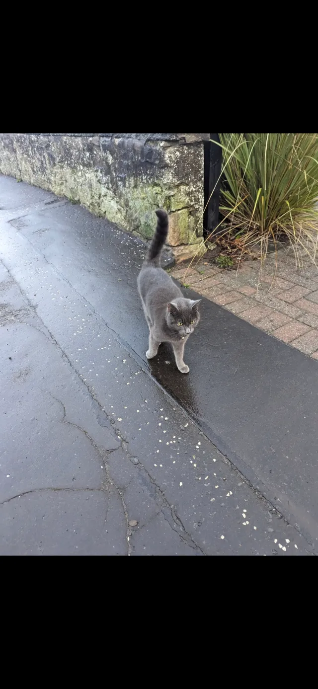 Dave  - Blackburn Avenue, Dunfermline