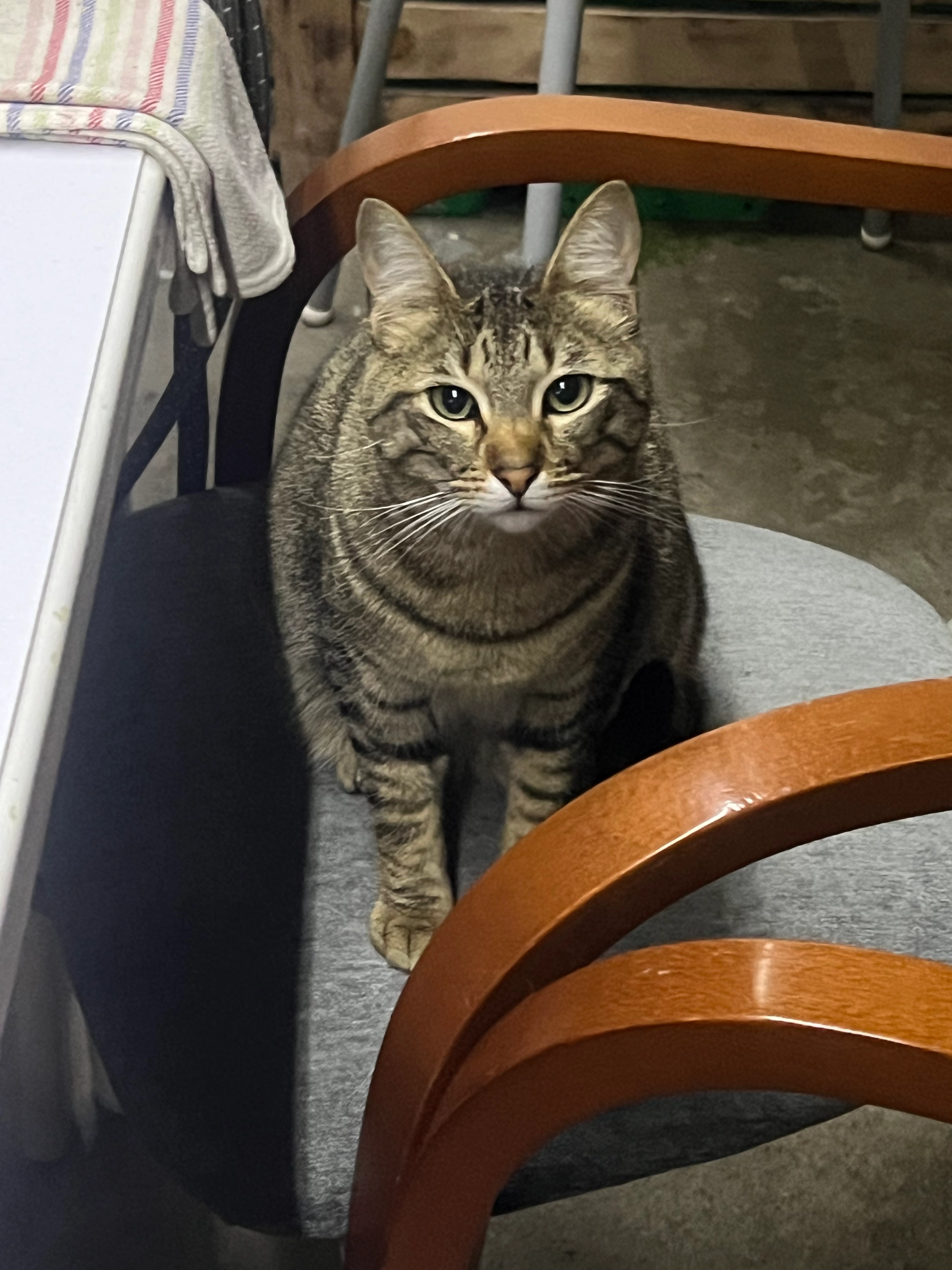 Rumi - Carrer Del Carme, Malgrat de Mar