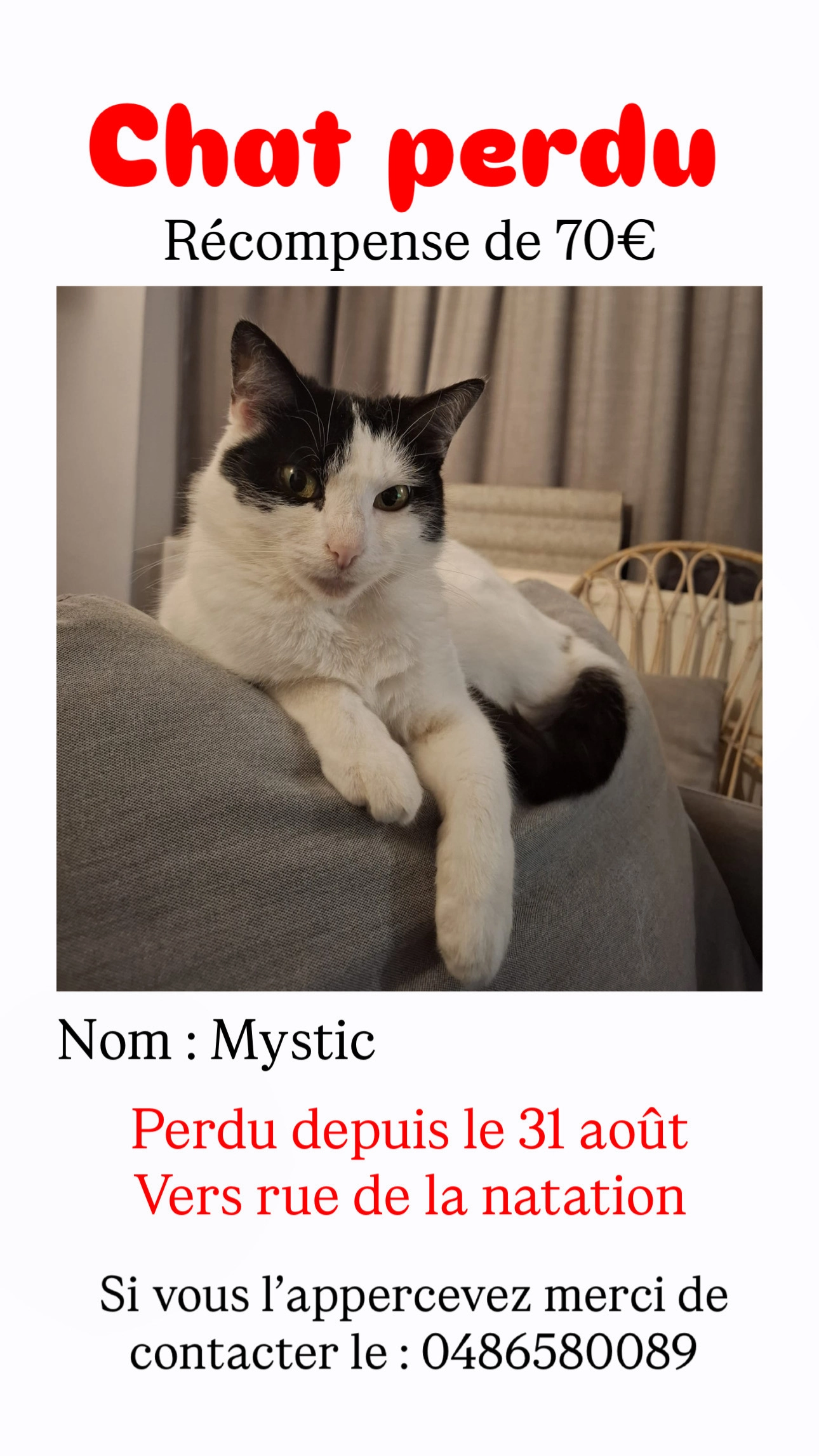 Mystic  - Rue de la Natation, Ixelles