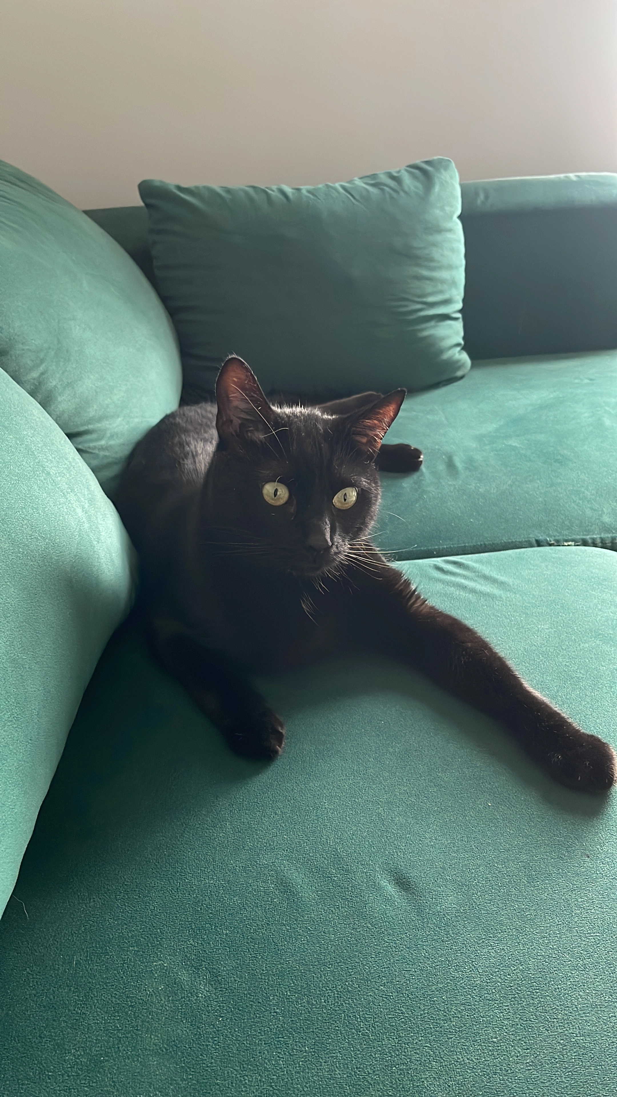 Vuhlyk - Hofstraat, Doetinchem