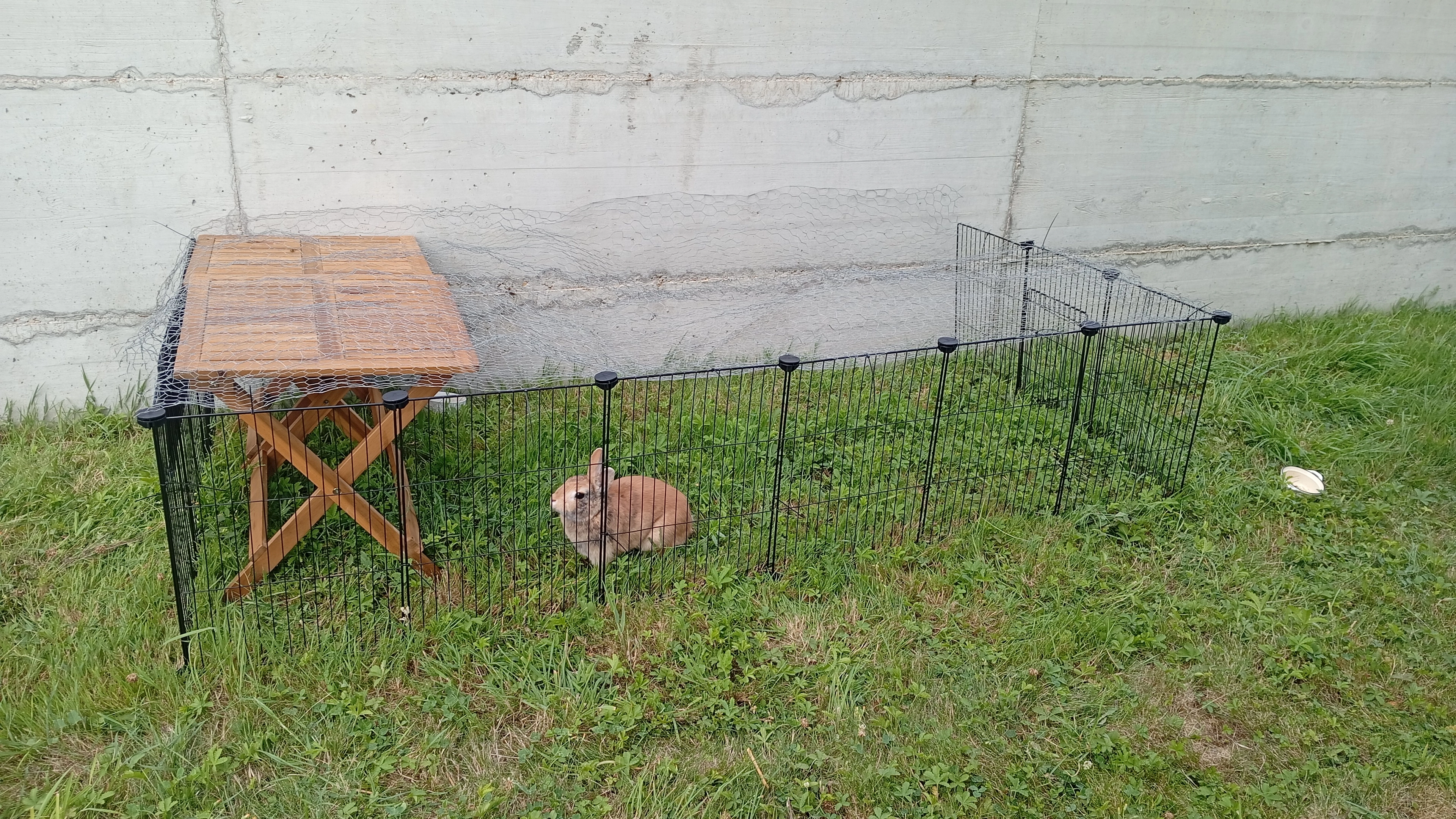 Roucky - Chemin Odet, Sainte-Menehould