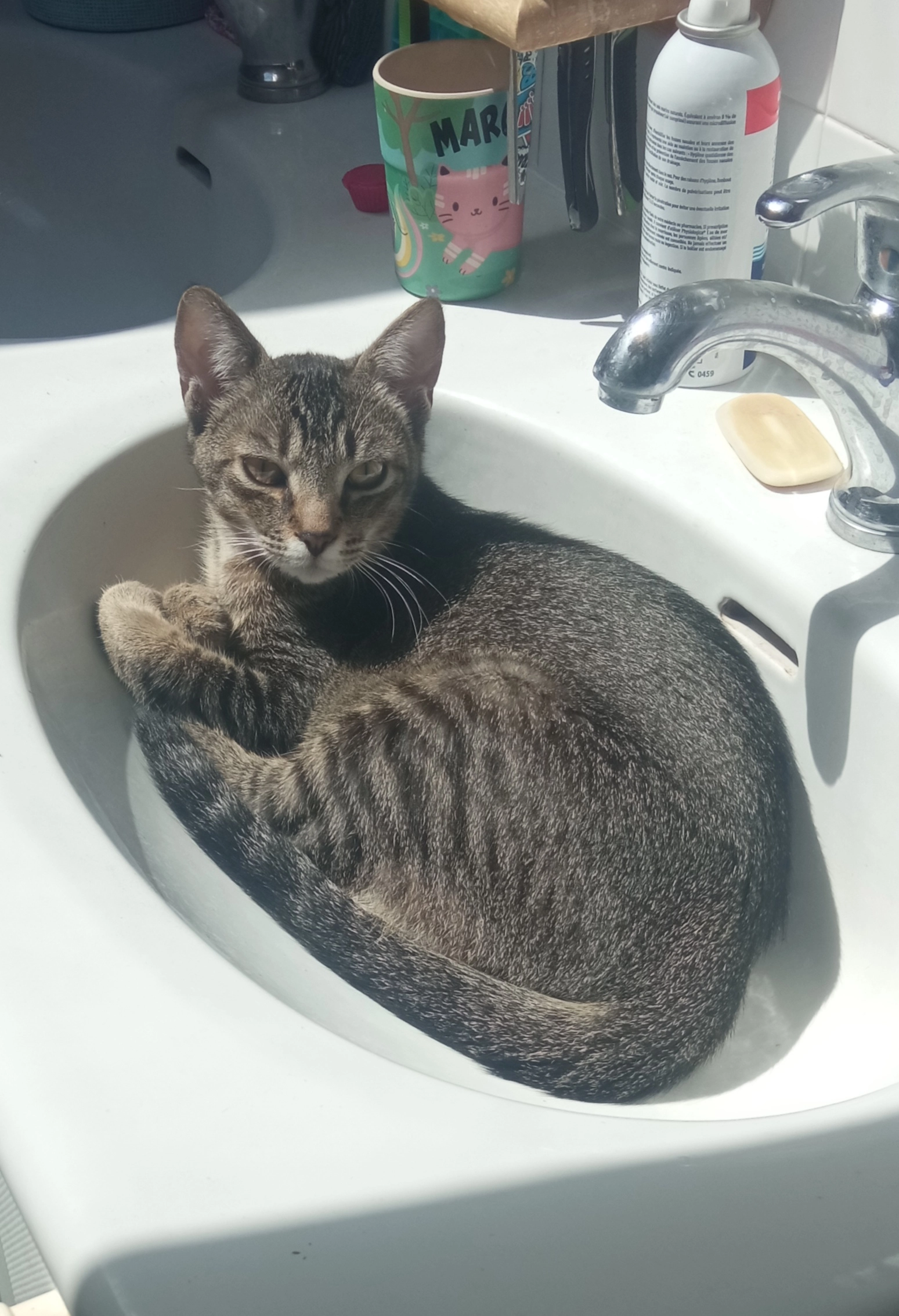 Thanos - Rue du Dolmen, Saumur