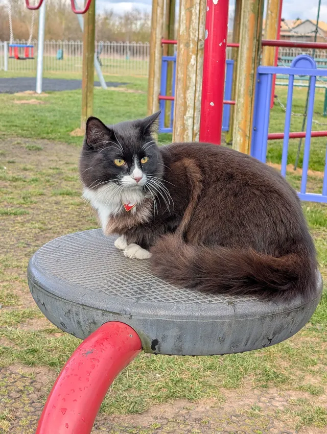 Otis  - Durrant Road, Ipswich