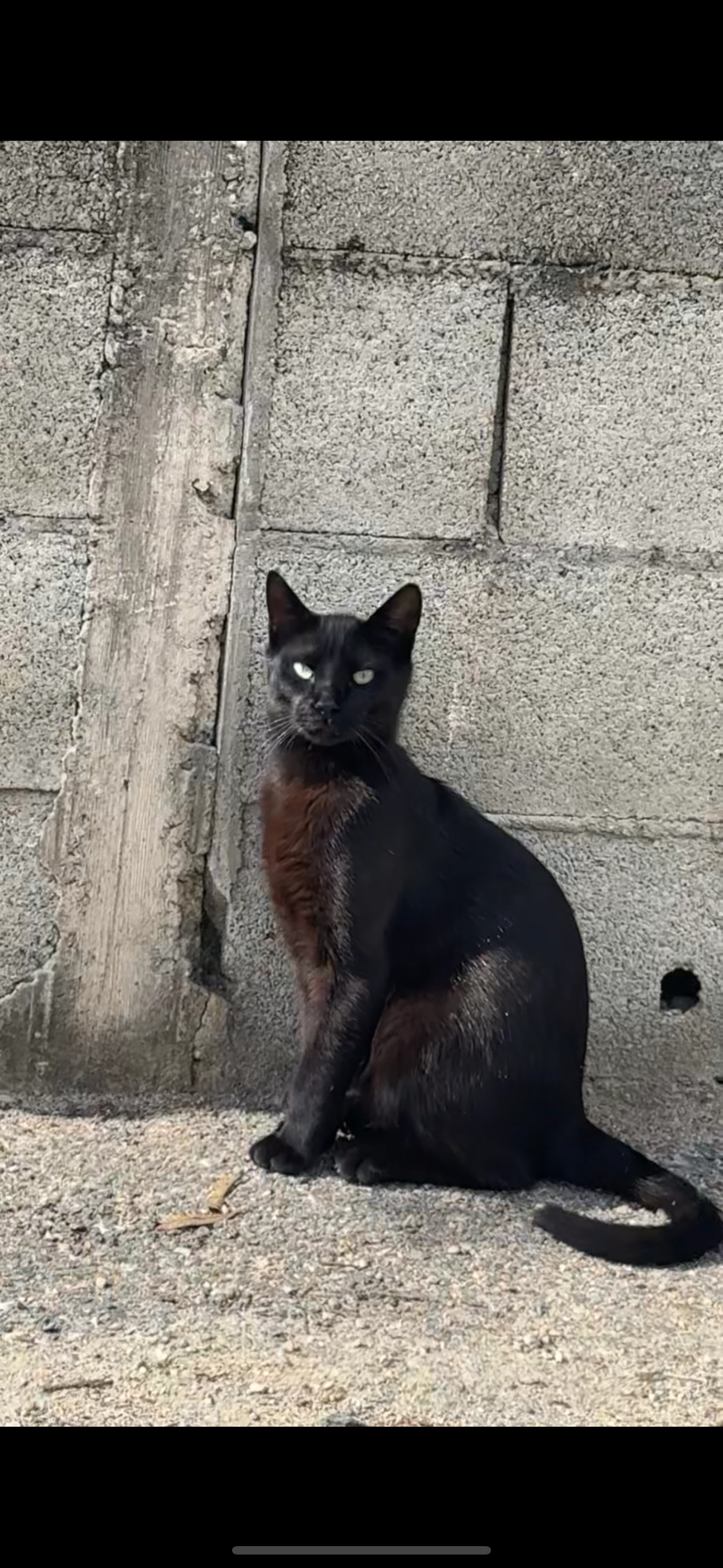 Bagheyra - 350 Chemin de la Traille, Sorgues