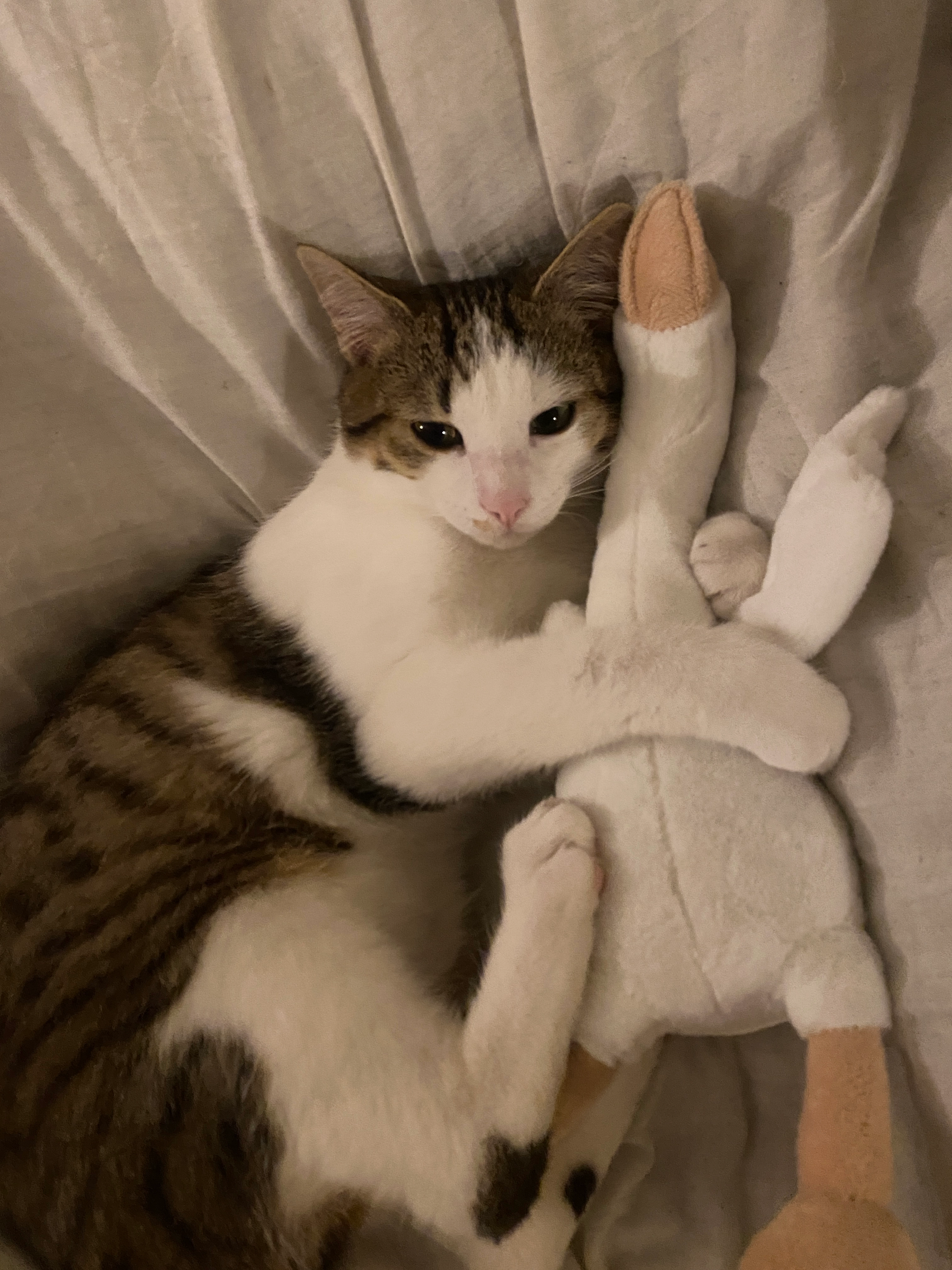 Valou/ Maurice  - Rue Hector Berlioz, Mâcon