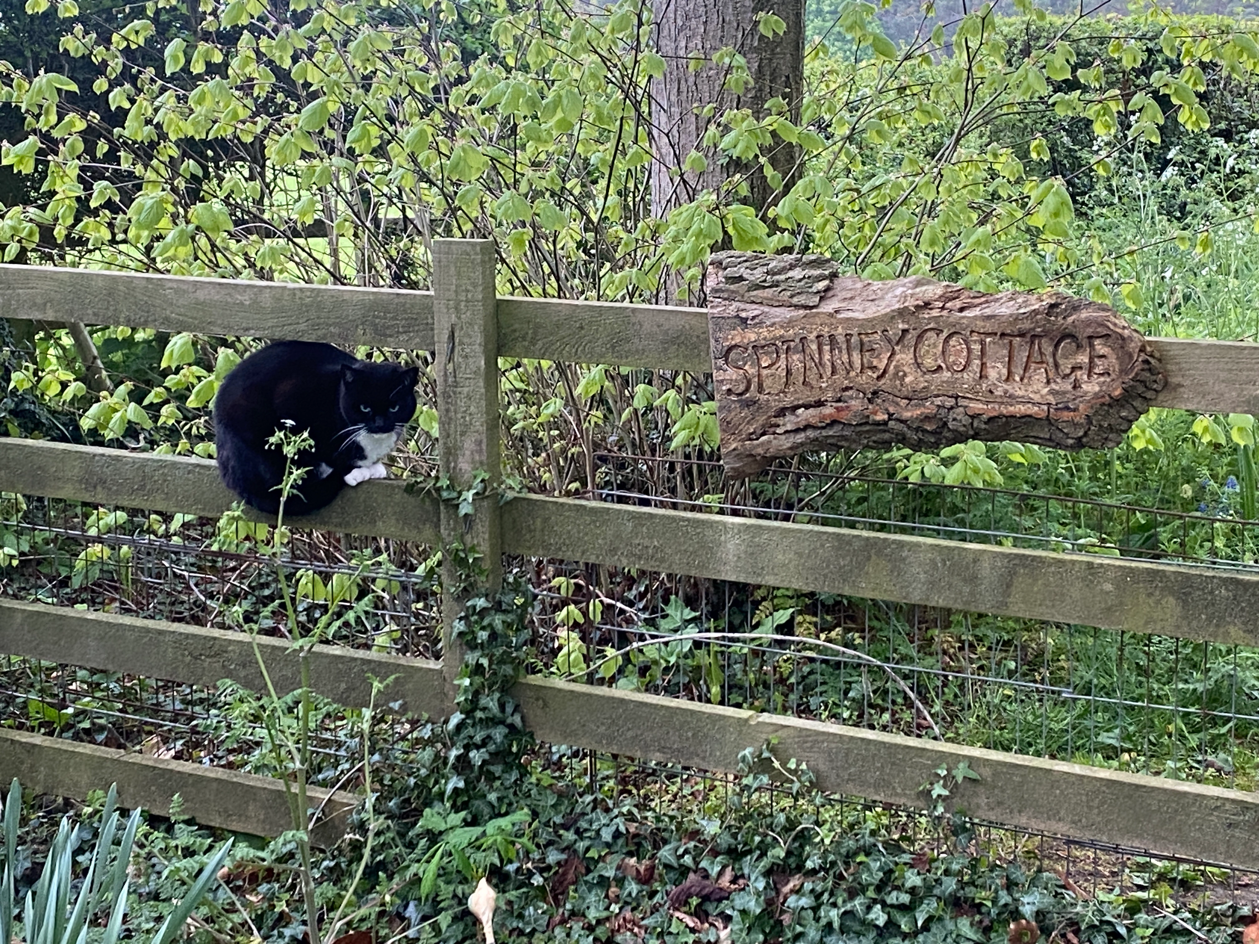Nin  - The Avenue, Leicester