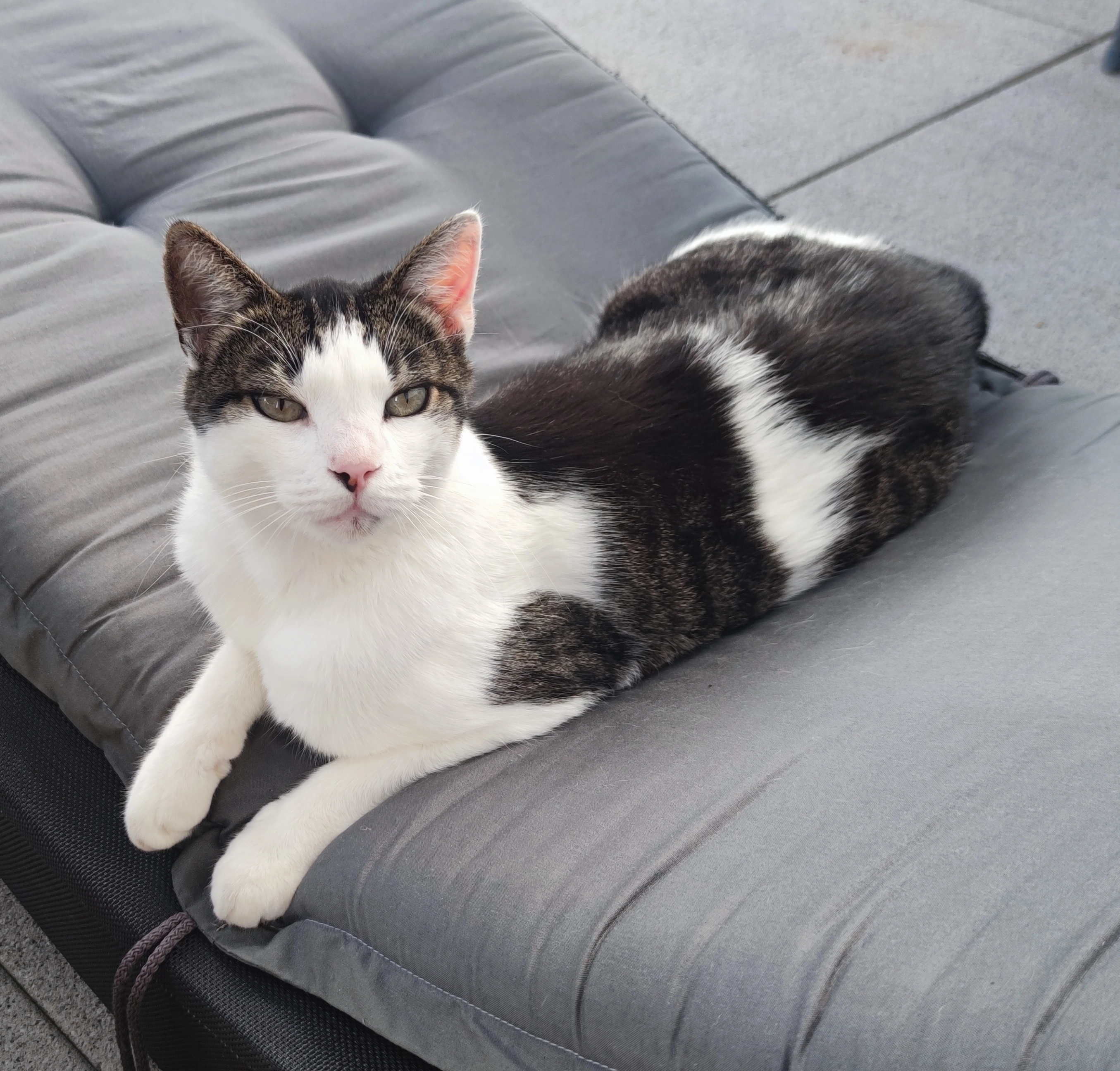 Lenny - Herbert-Degenhart-Straße, Kehl