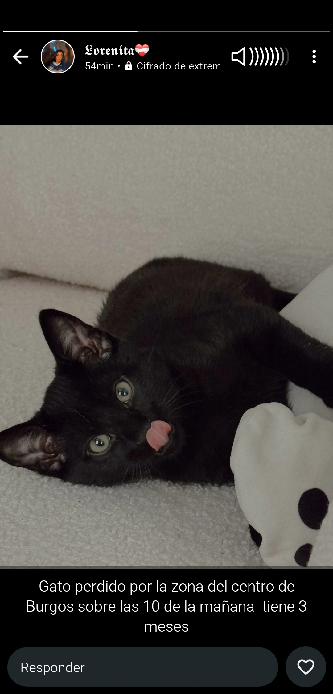 Blacky - Plaza del Huerto del Rey, Burgos