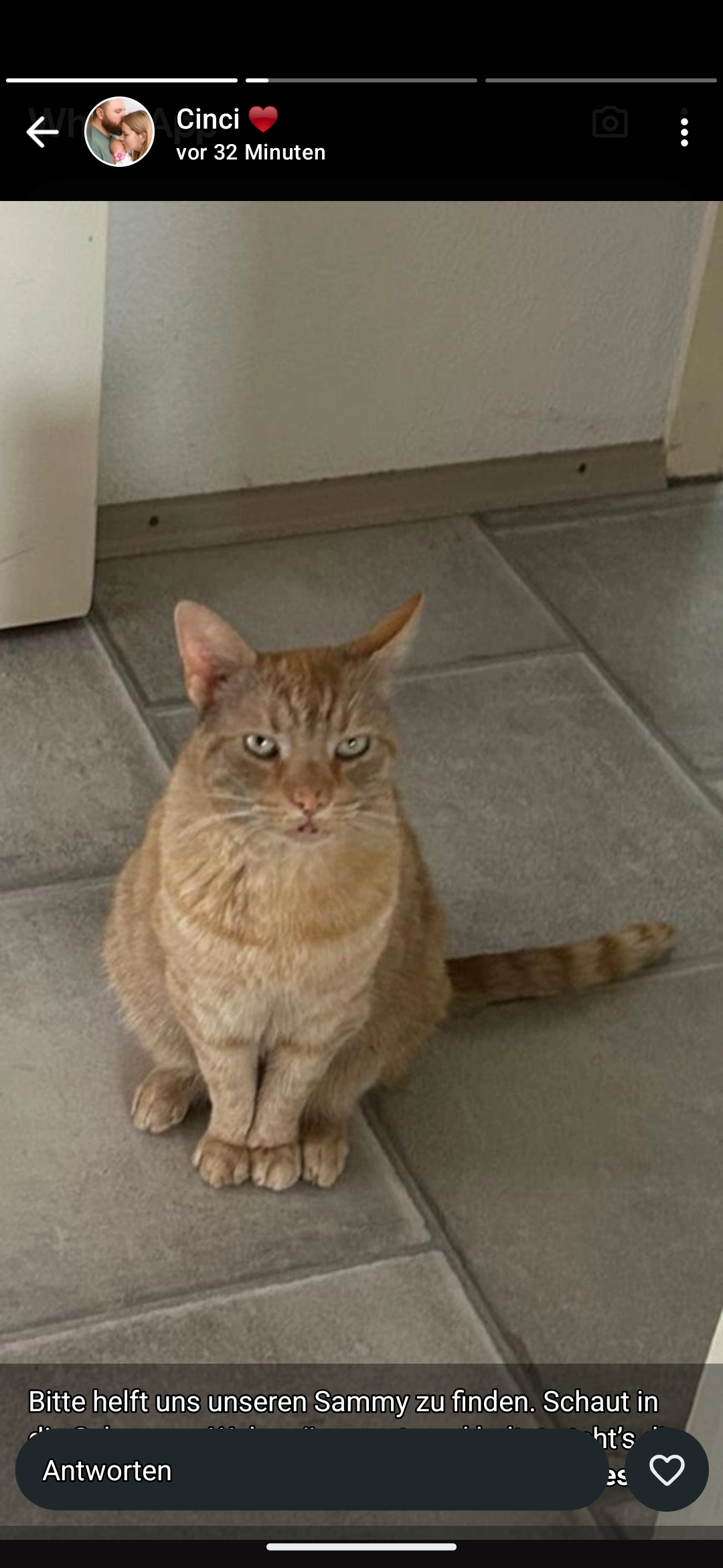 Sammy - Auf dem Paß, Osterholz-Scharmbeck