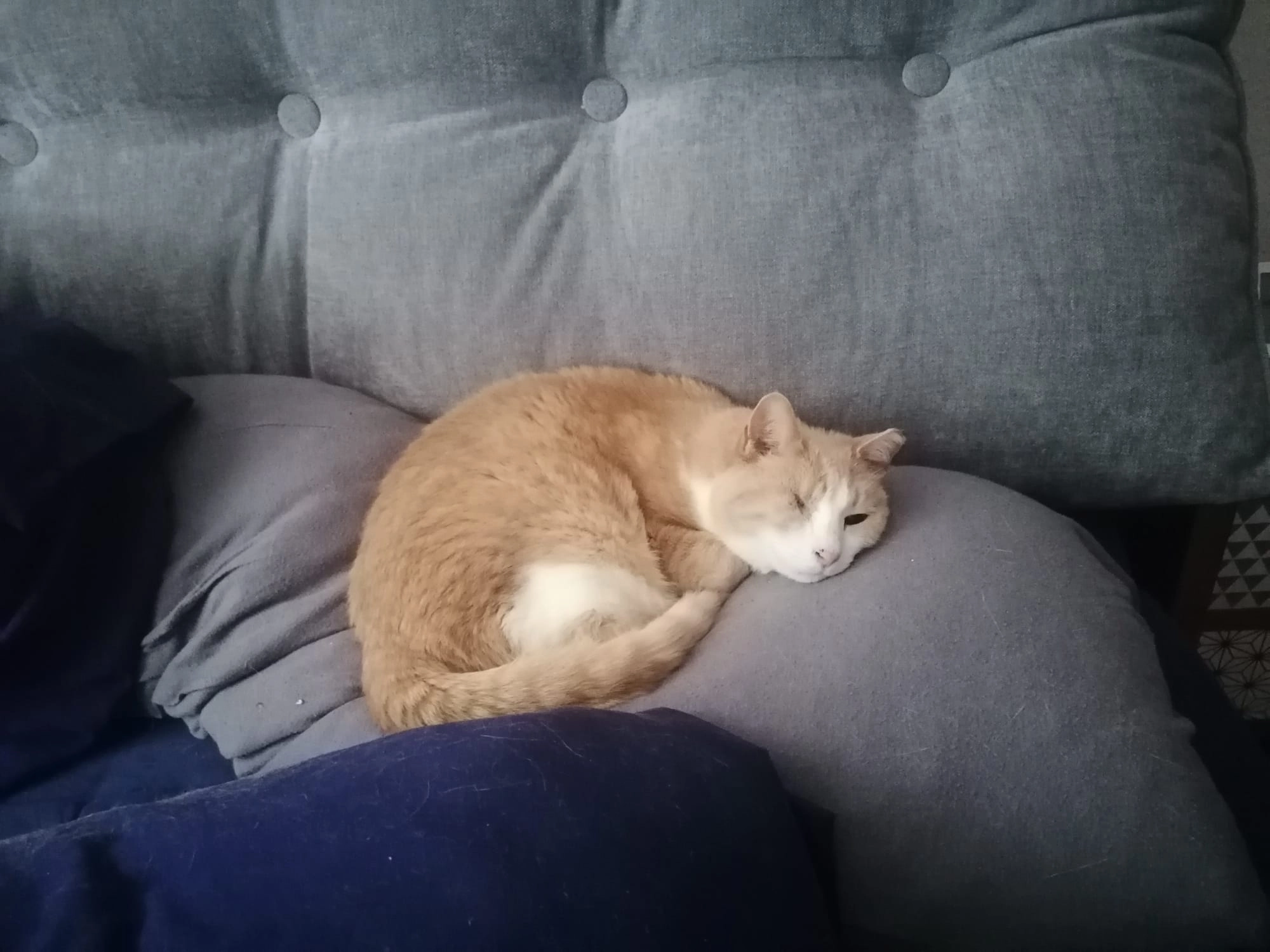 Susan - Neukirchstraße, Berlin