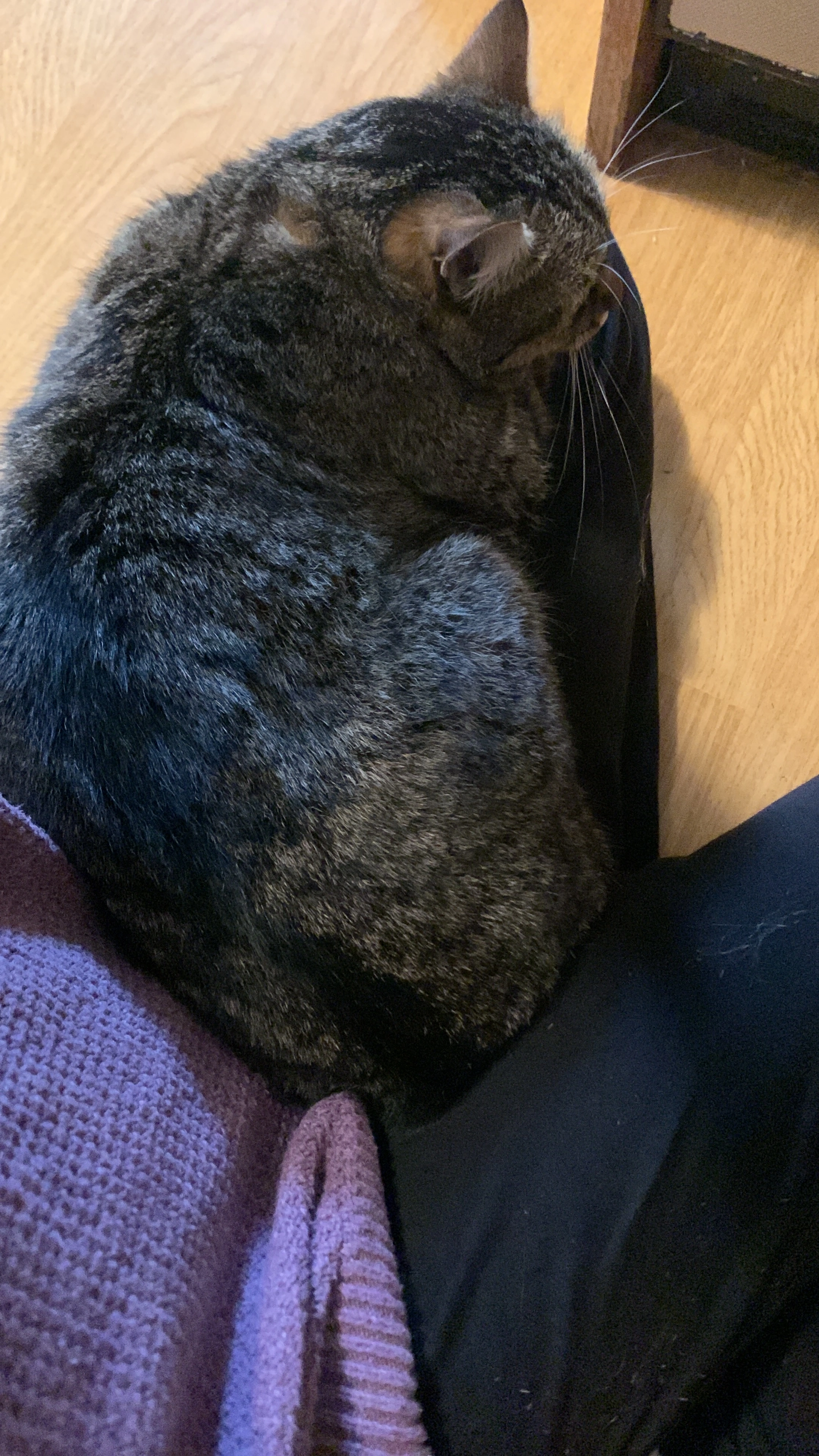 Pepi - Vierhöf 5, Reichenthal