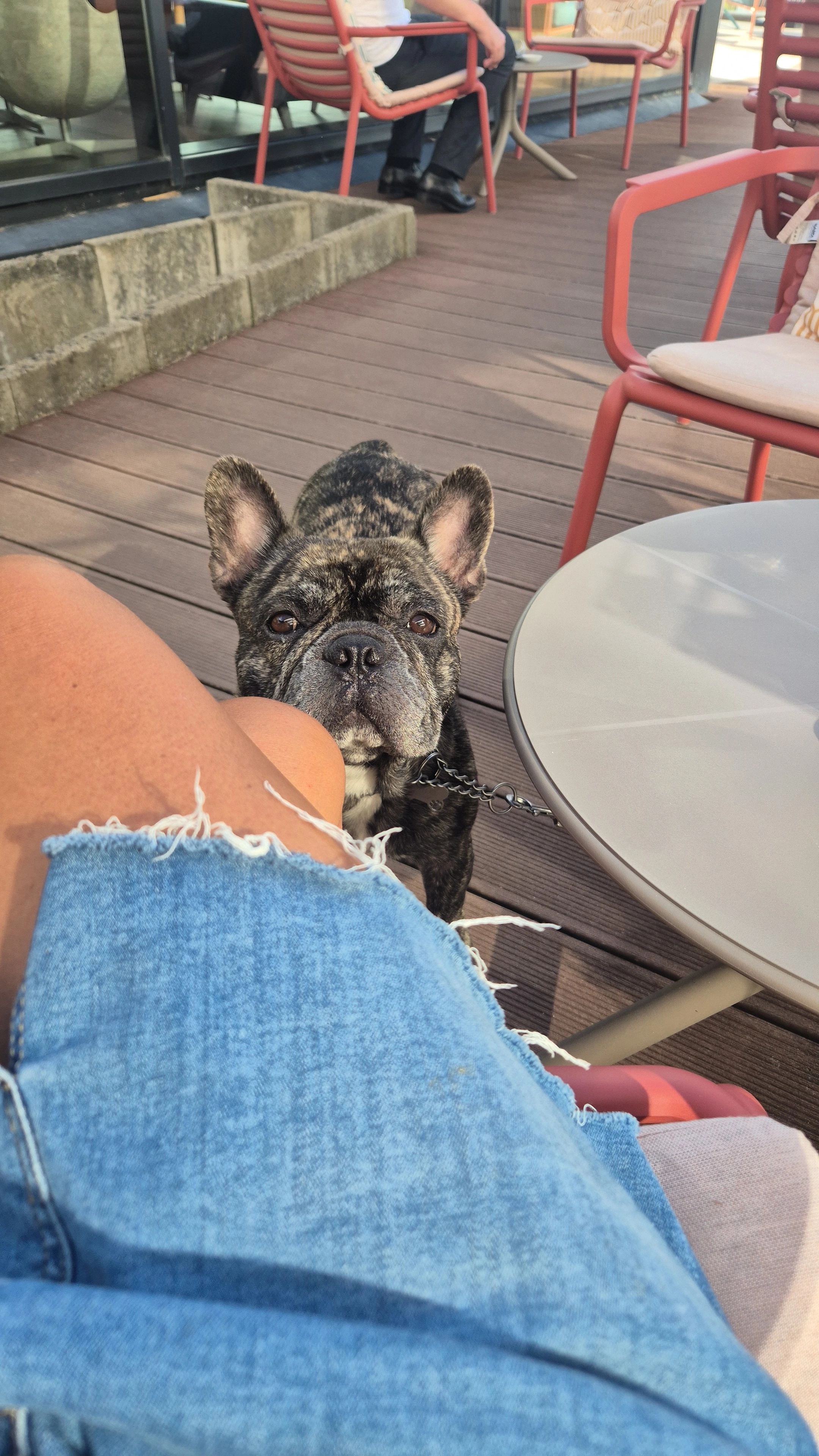 Milo - Avenue De La Mer, Cabourg
