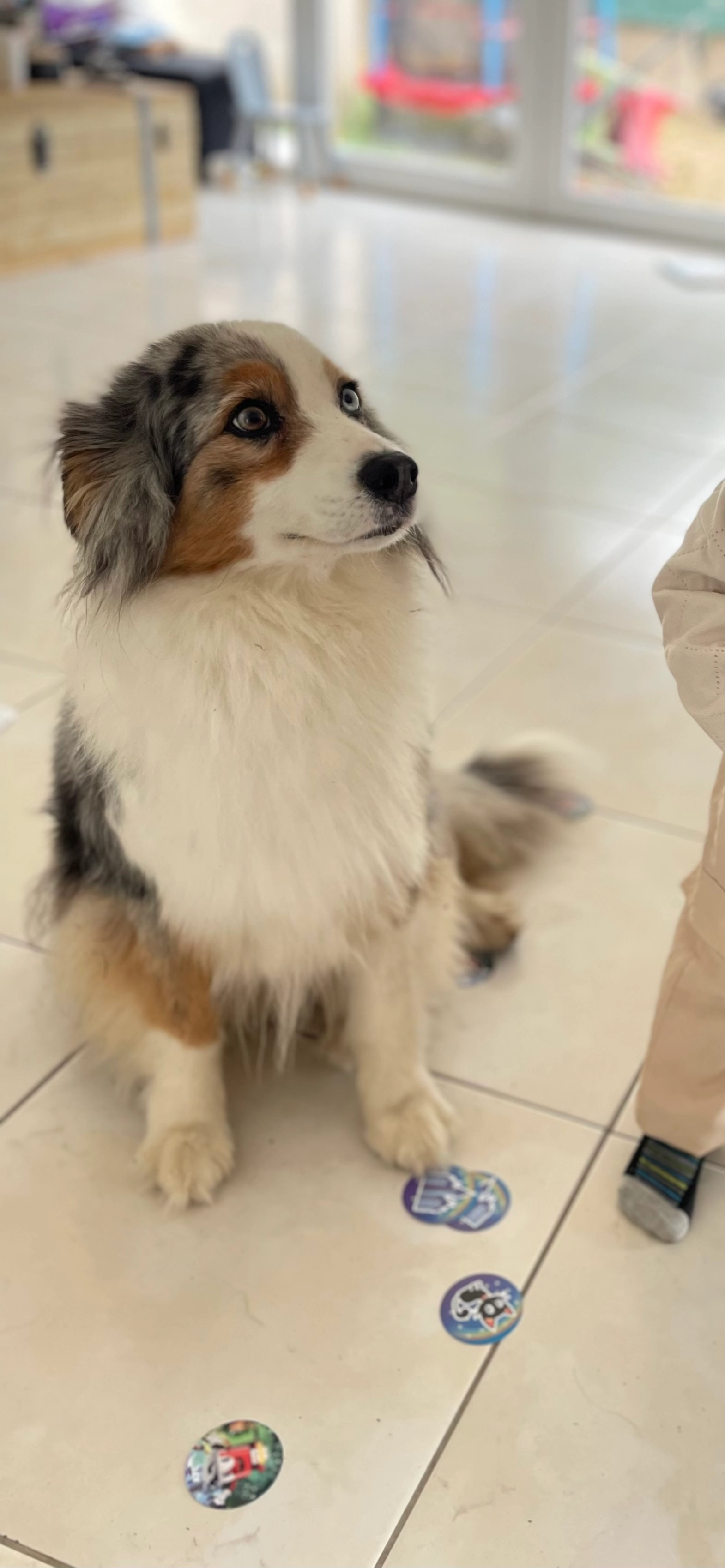 Joy - 11 Allée Charles Lavie, Pressigny-les-Pins