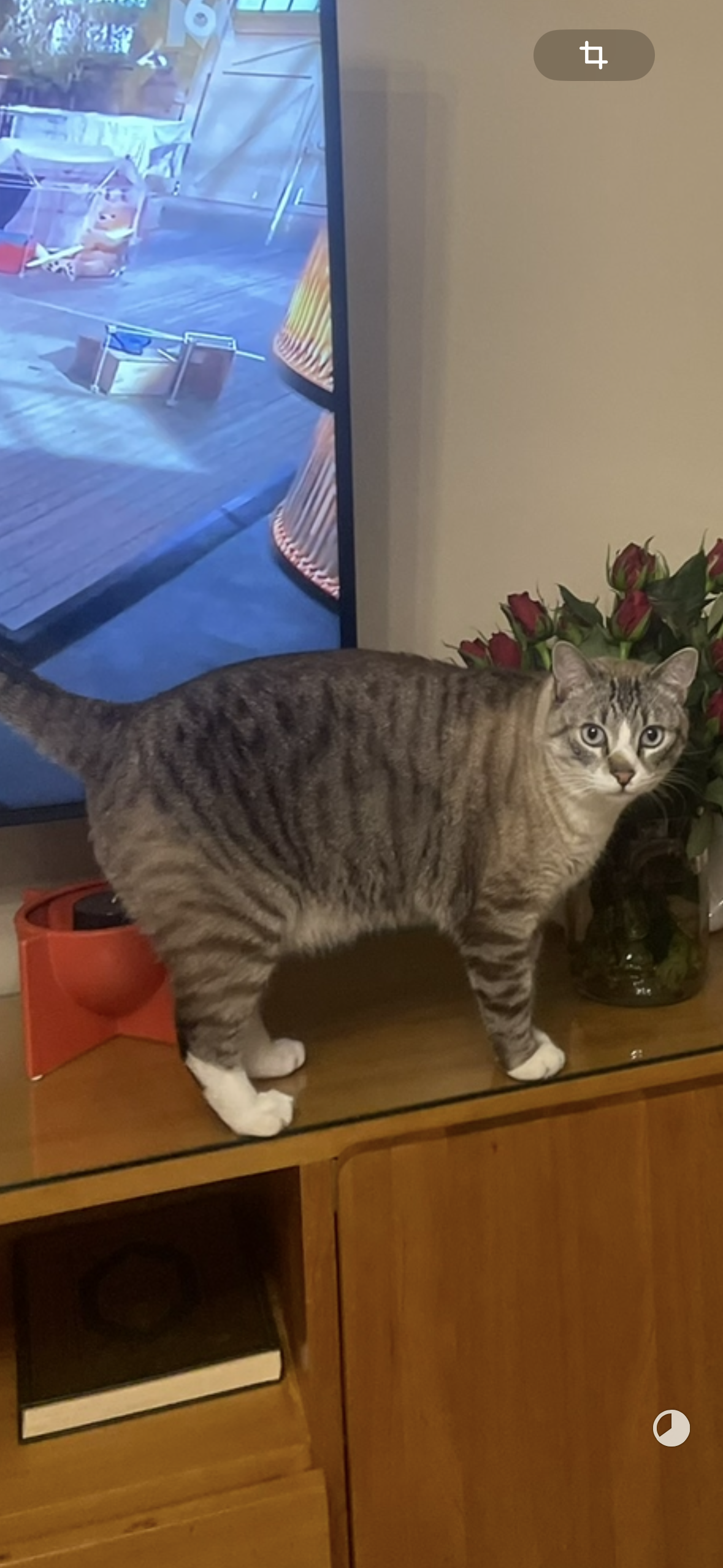 Lucky - 12, Harhoura