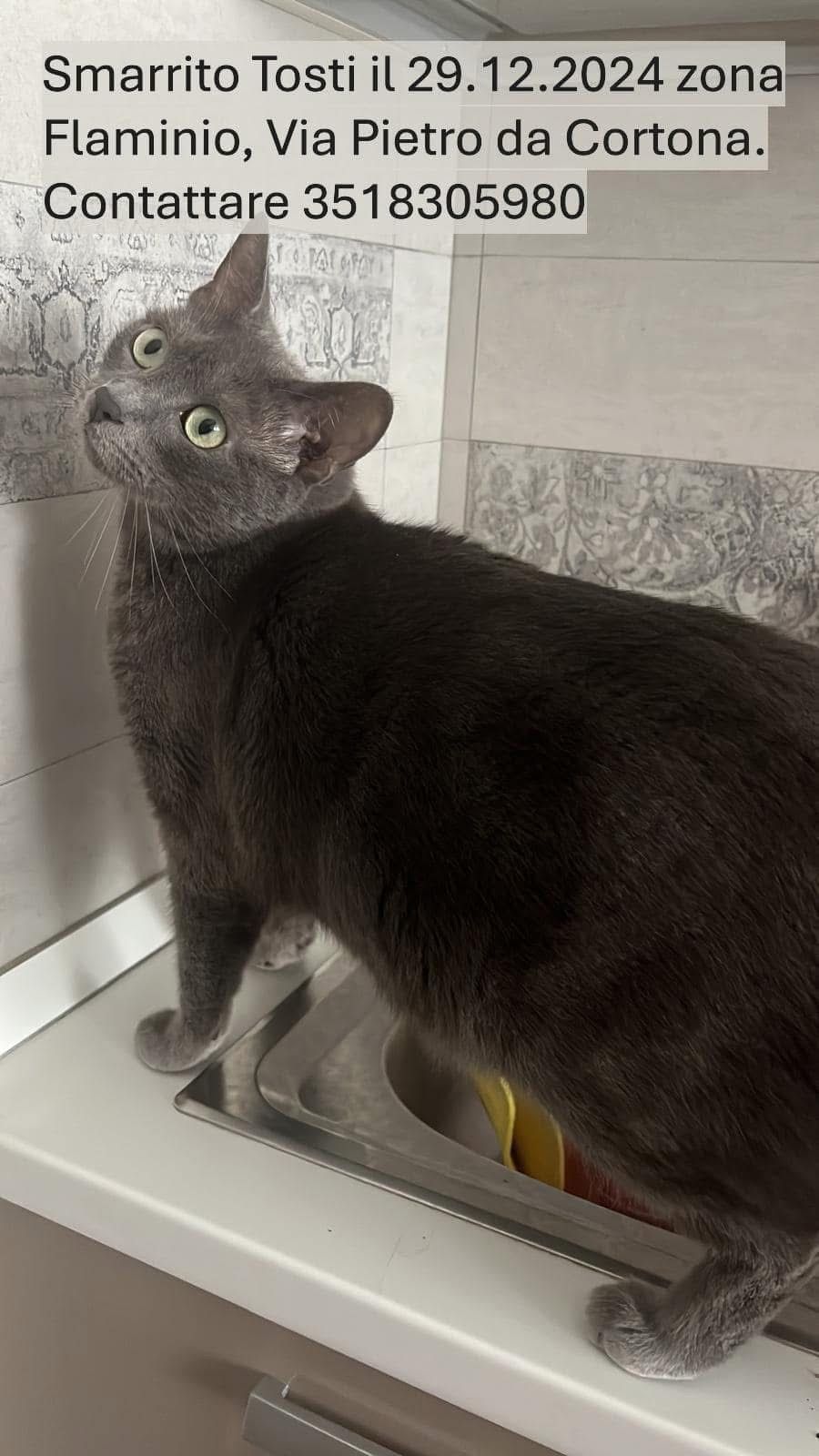 Tosti - Via Pietro Da Cortona, Rome