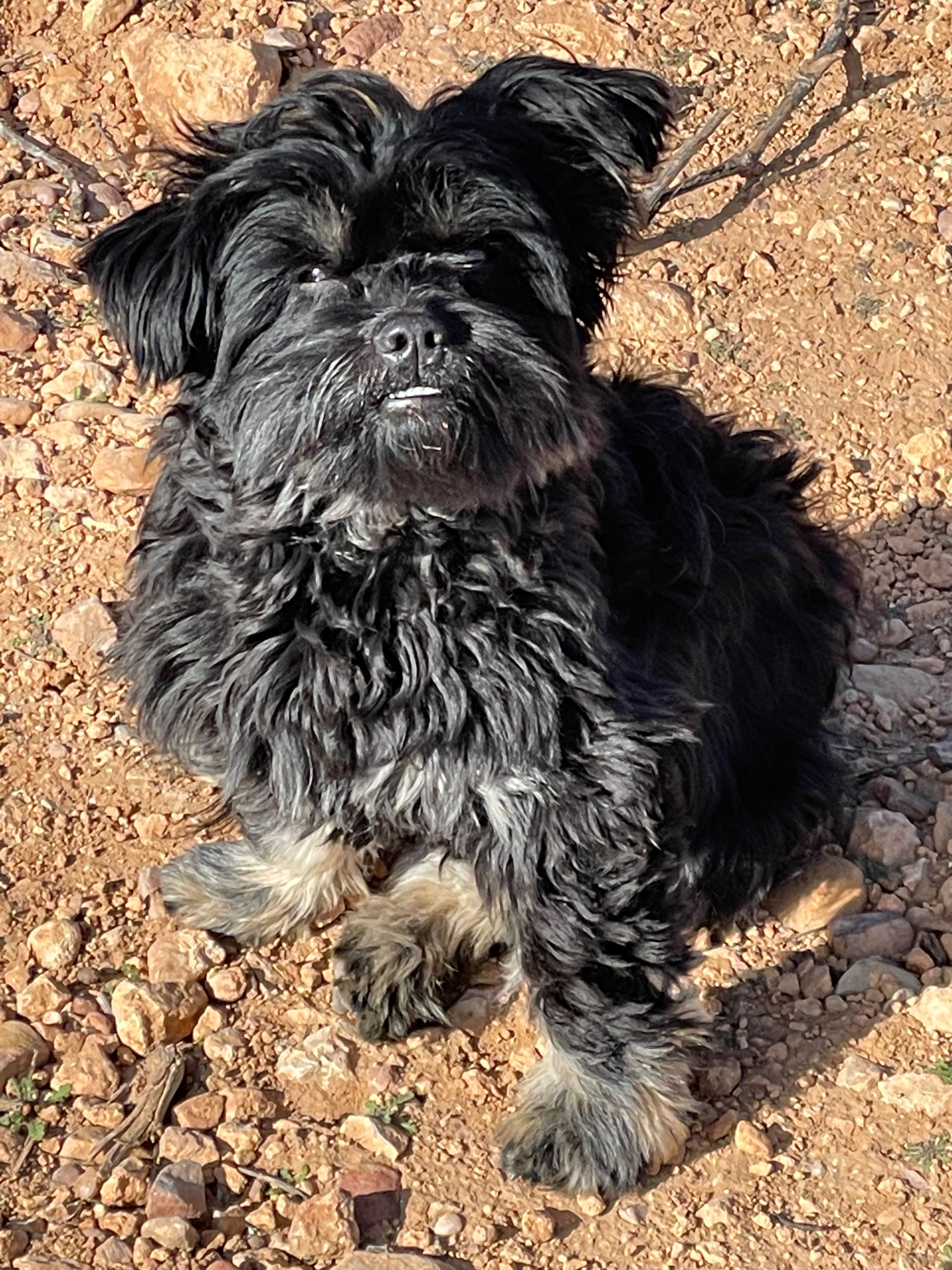 Tomi - Camino del Toboso, El Toboso