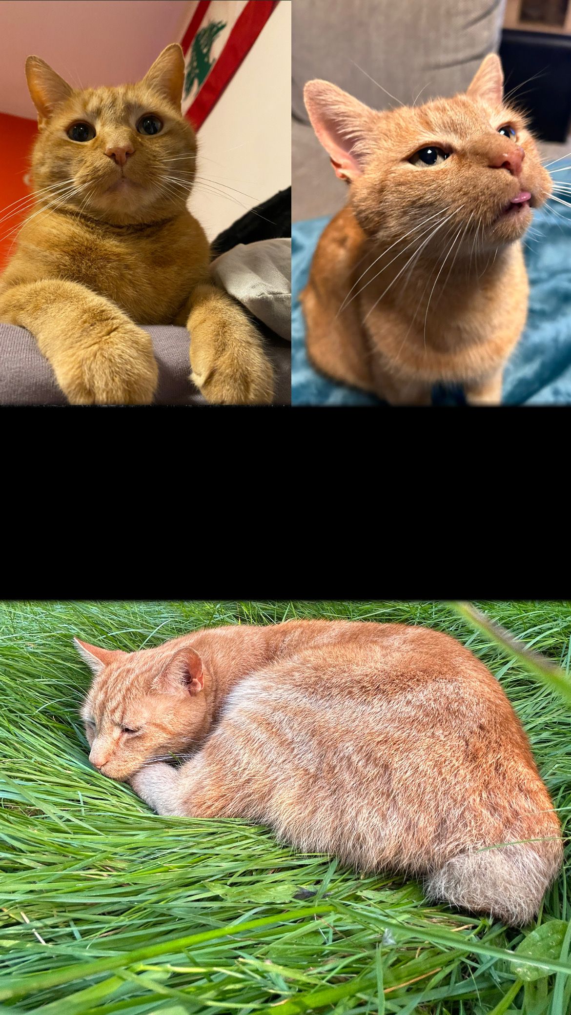 gino - Kreuzbergring, Schwandorf