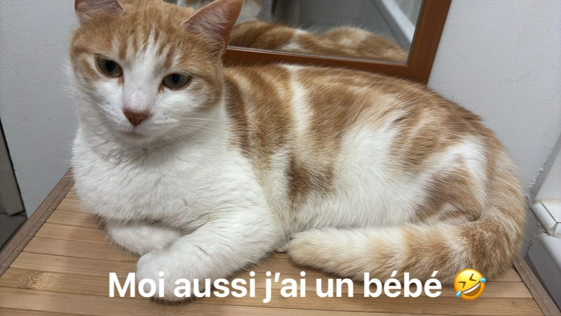 Stella - Rue des Violettes, Monistrol-sur-Loire