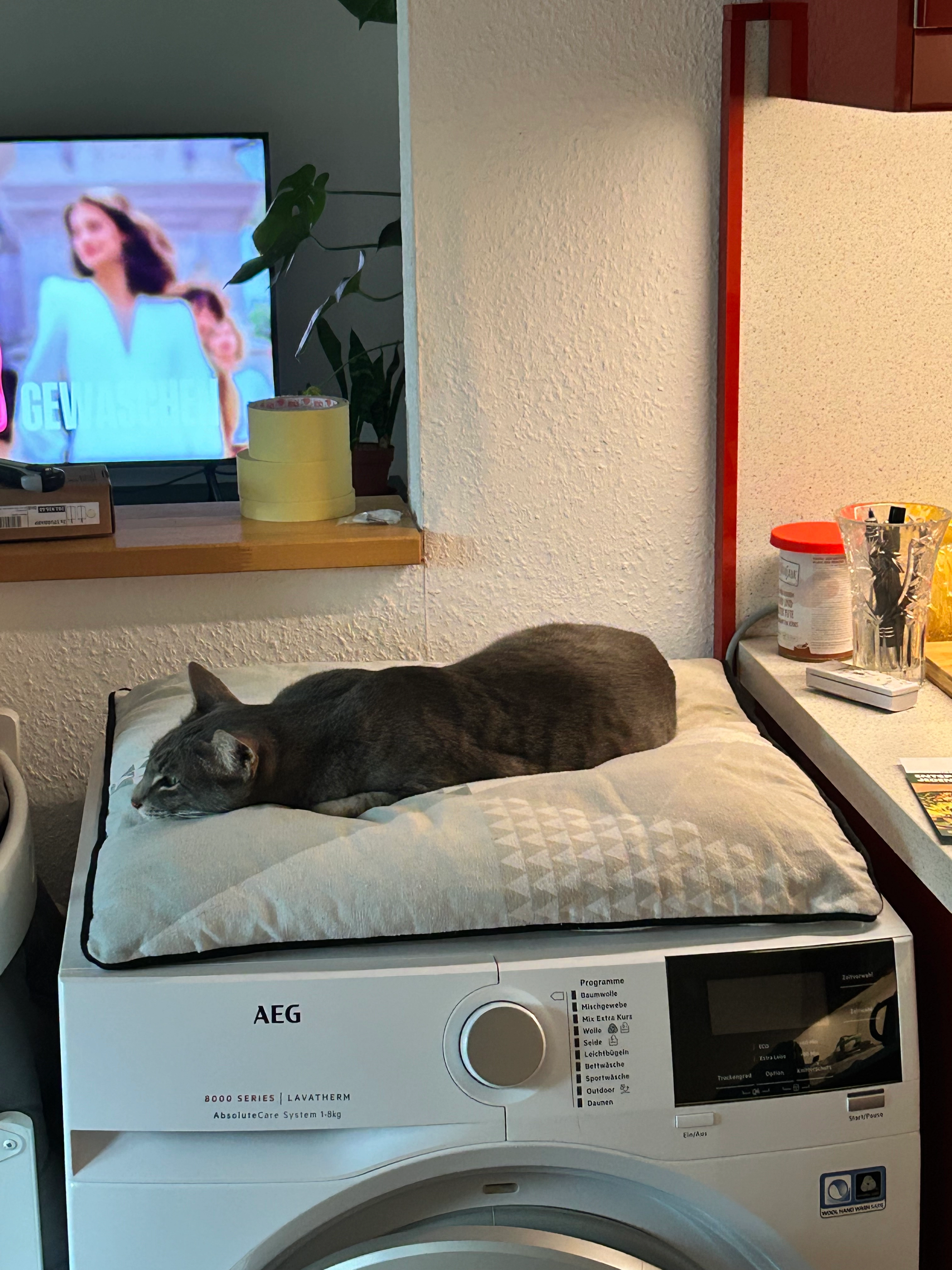 Simba - Uslarer Straße 4, Berlin