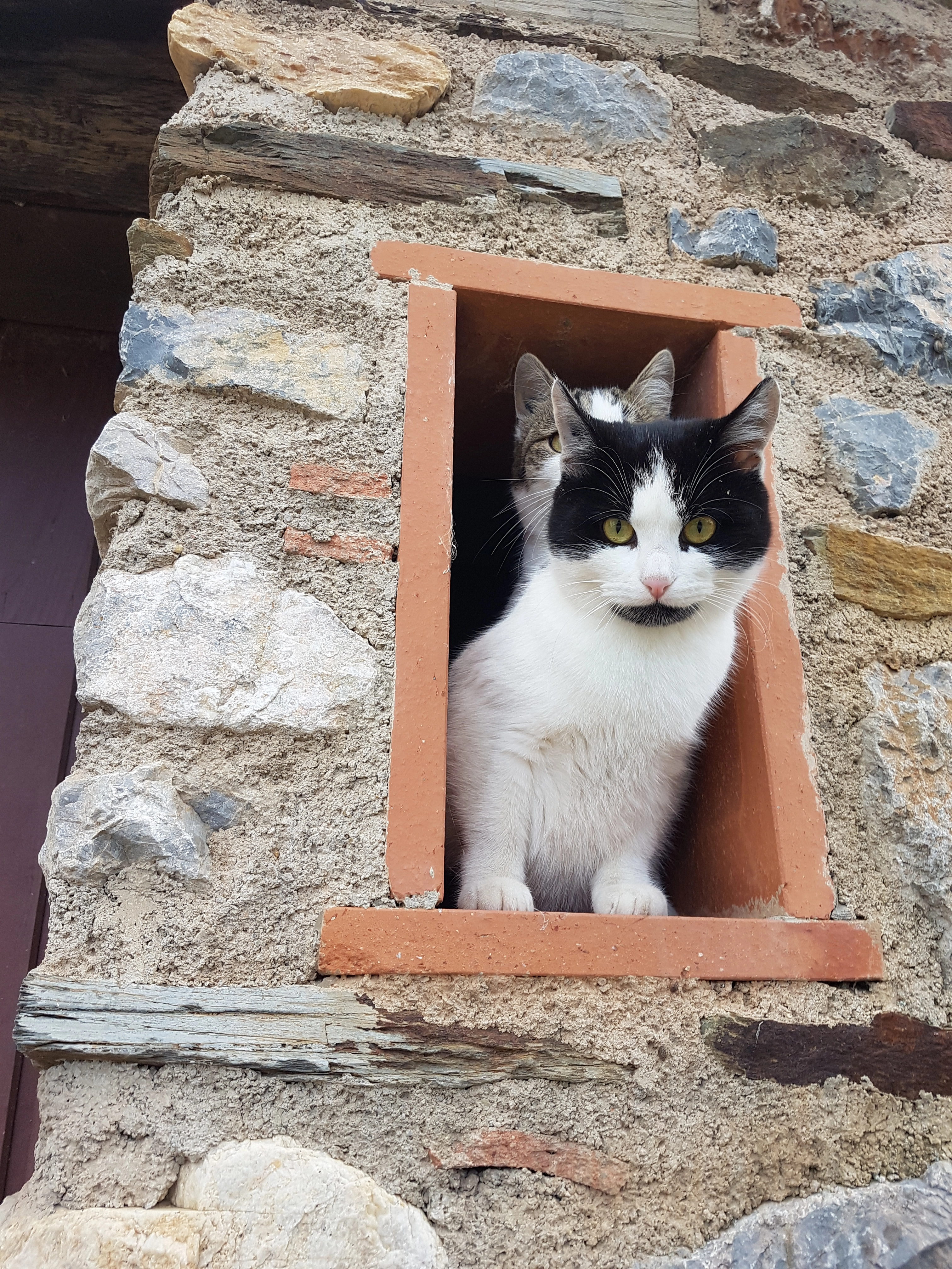 STELLA - Chemin de Llupia, Thuir