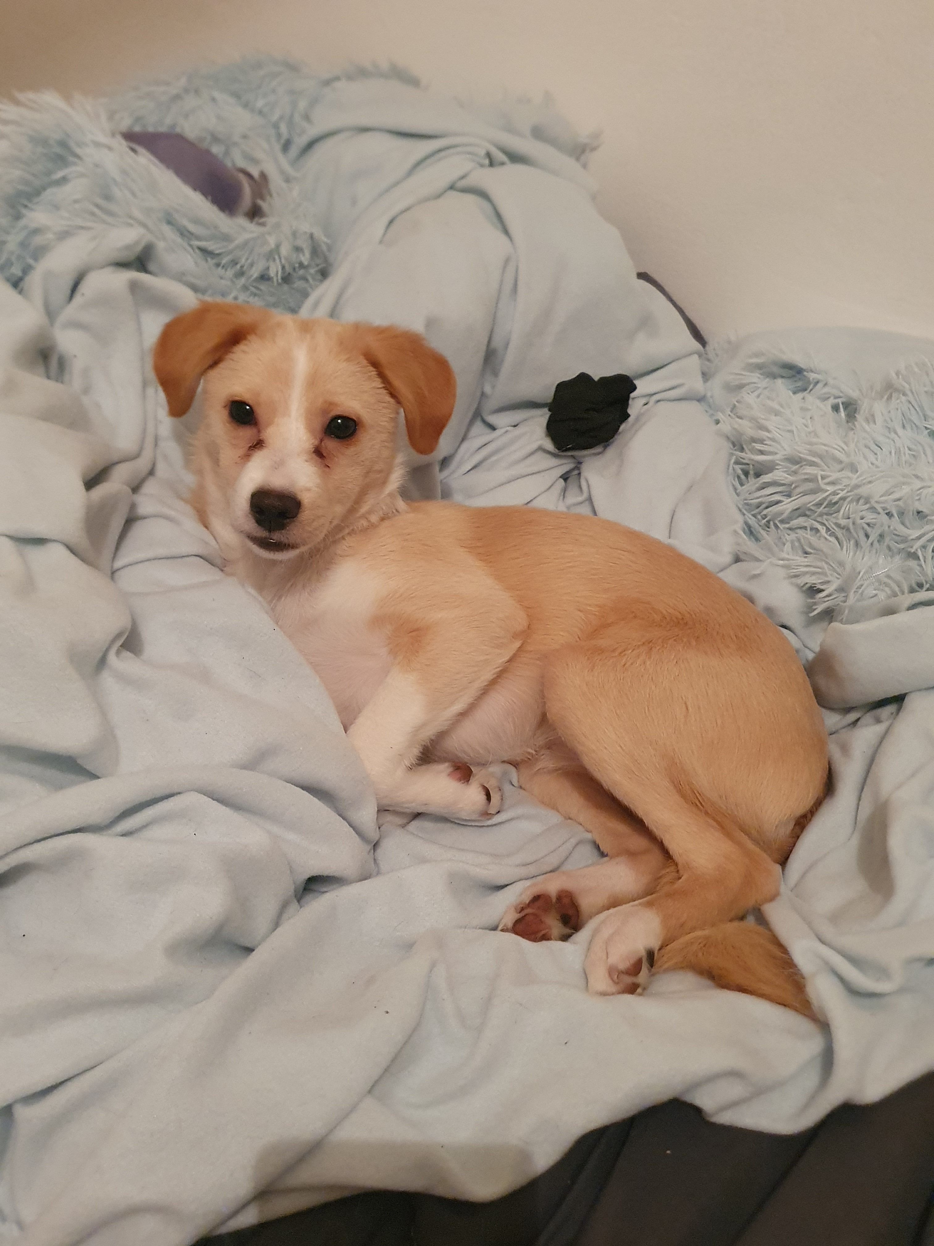 Bloom - Chemin Du Grand Brotteau, Miribel