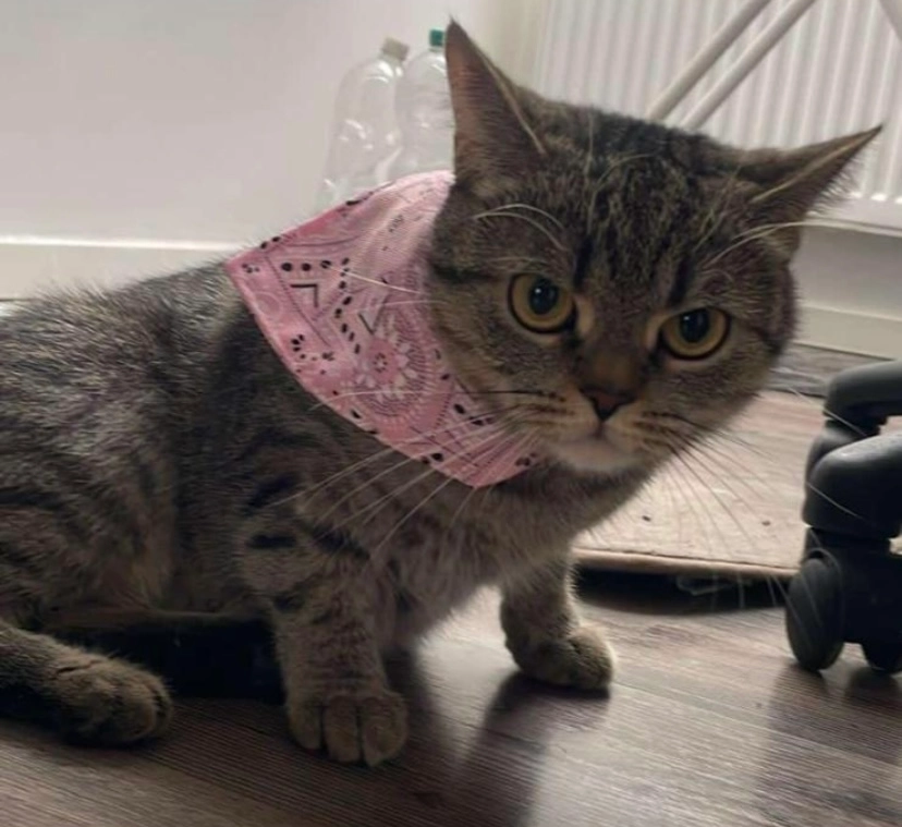 Thalia  - Wehofen, Duisburg