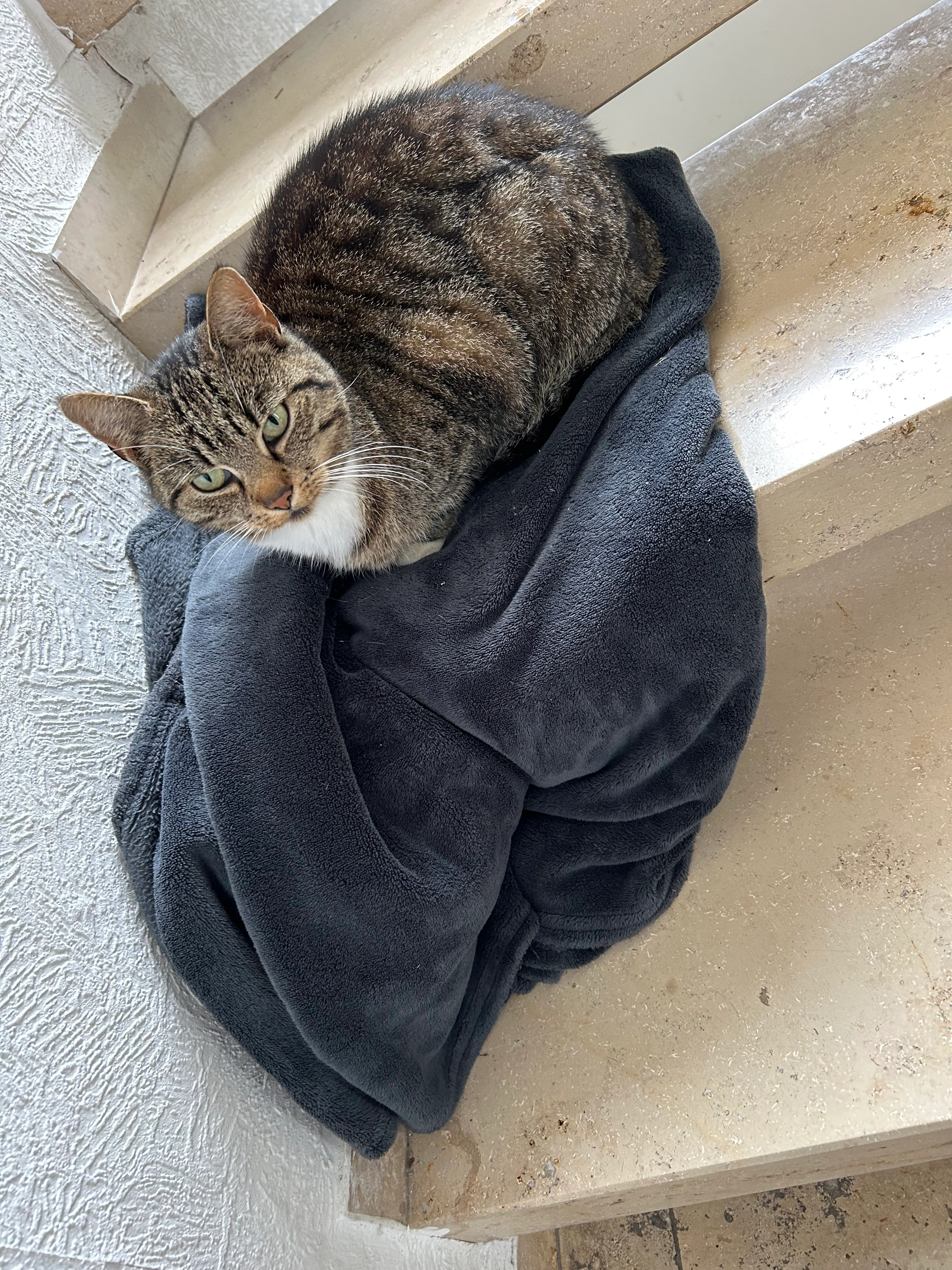 Minky - Stadtweg, Breuna