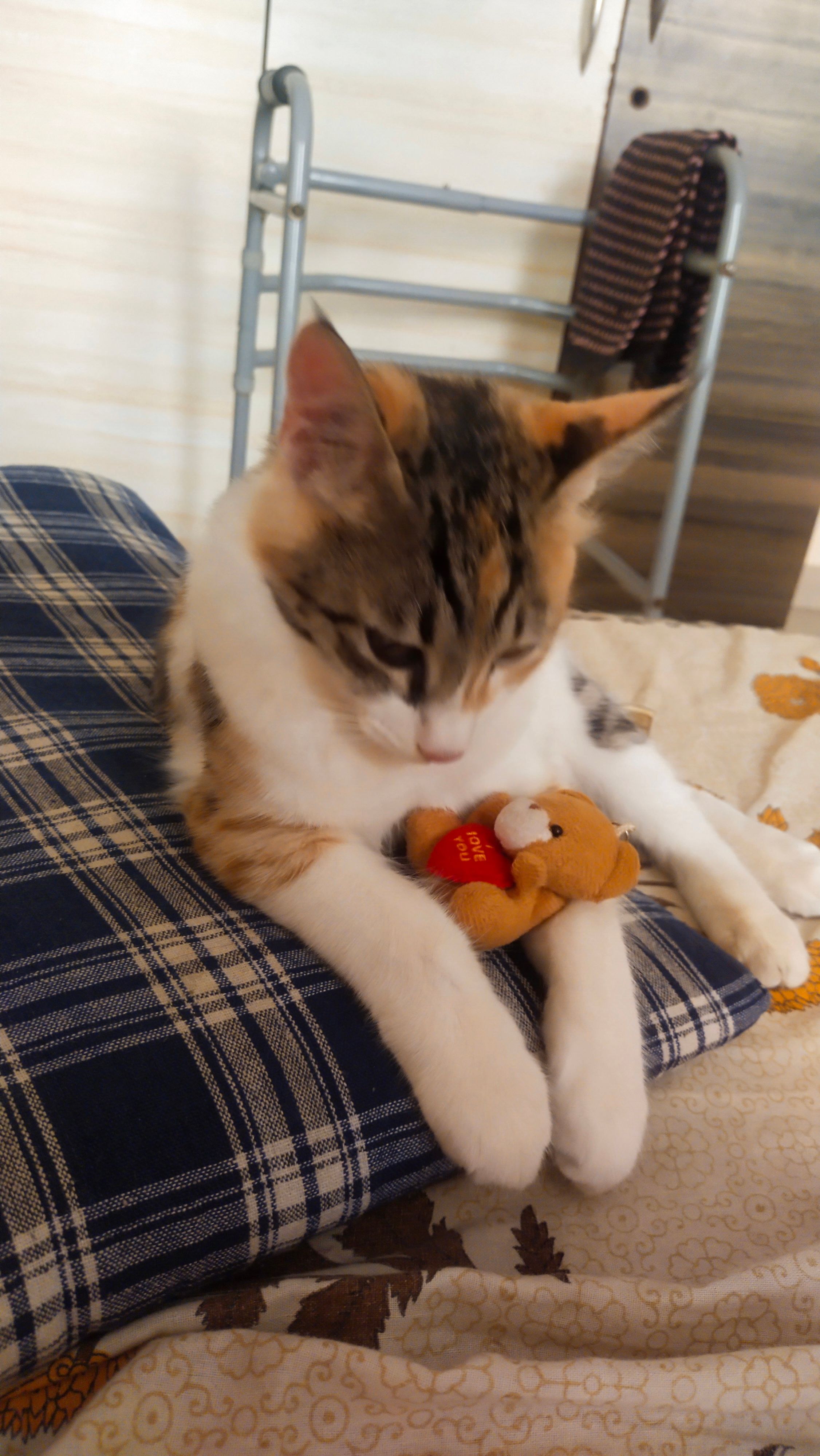 Manu - Someshwar Mandir Marg, Pimpri-Chinchwad