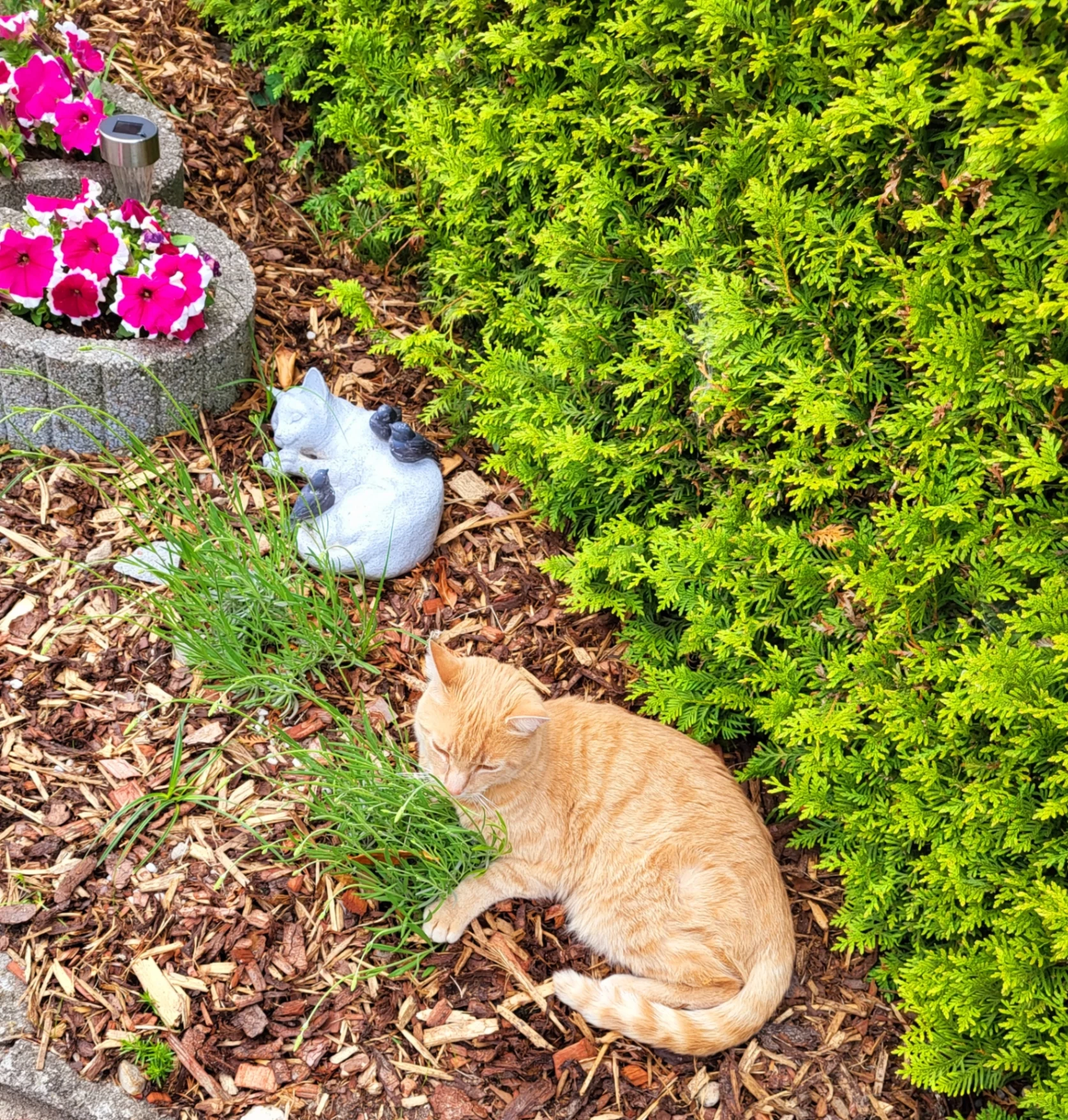 Dili - Im Neugrabener Dorf, Hamburg
