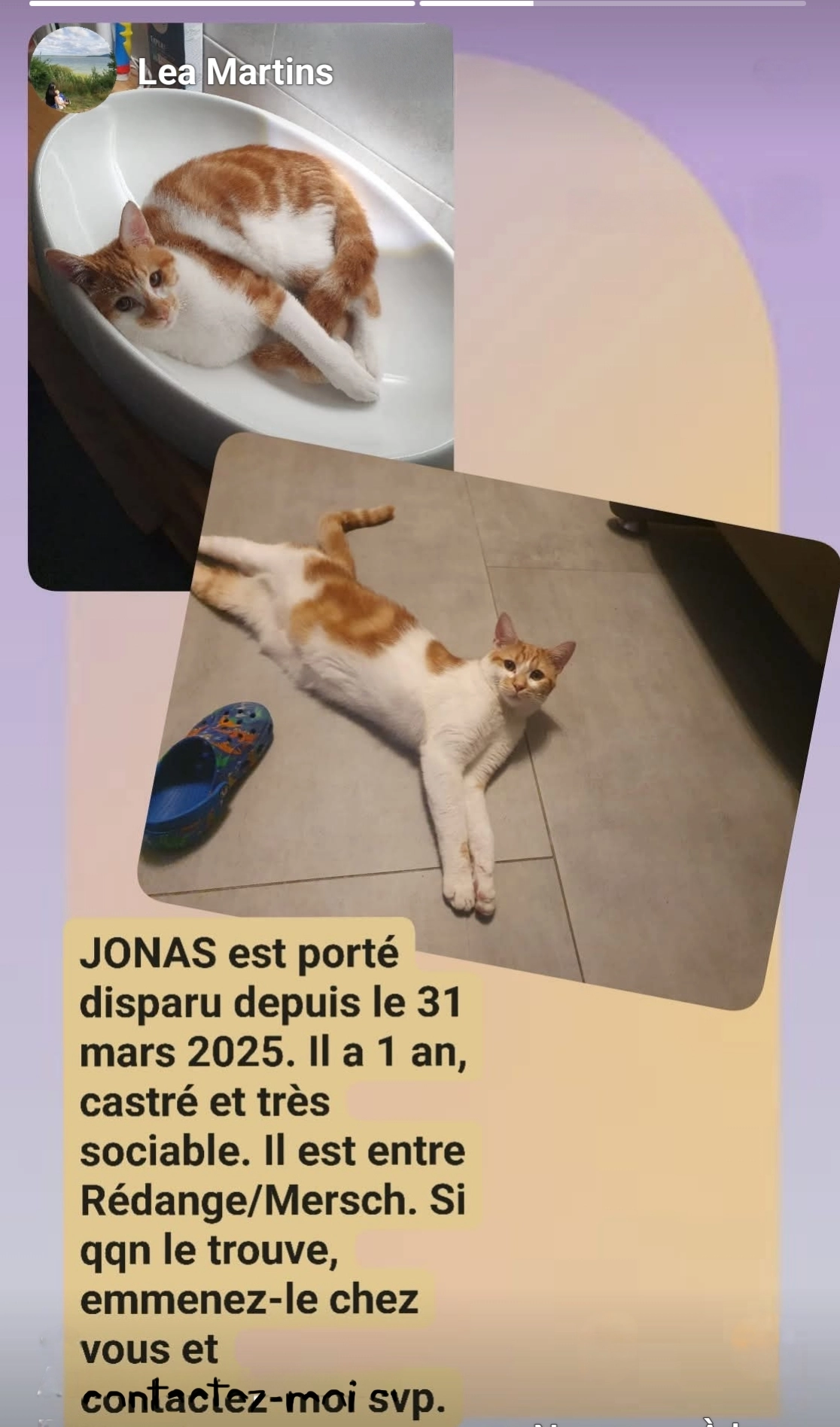 Jonas - 32 Grande-Rue, Crusnes