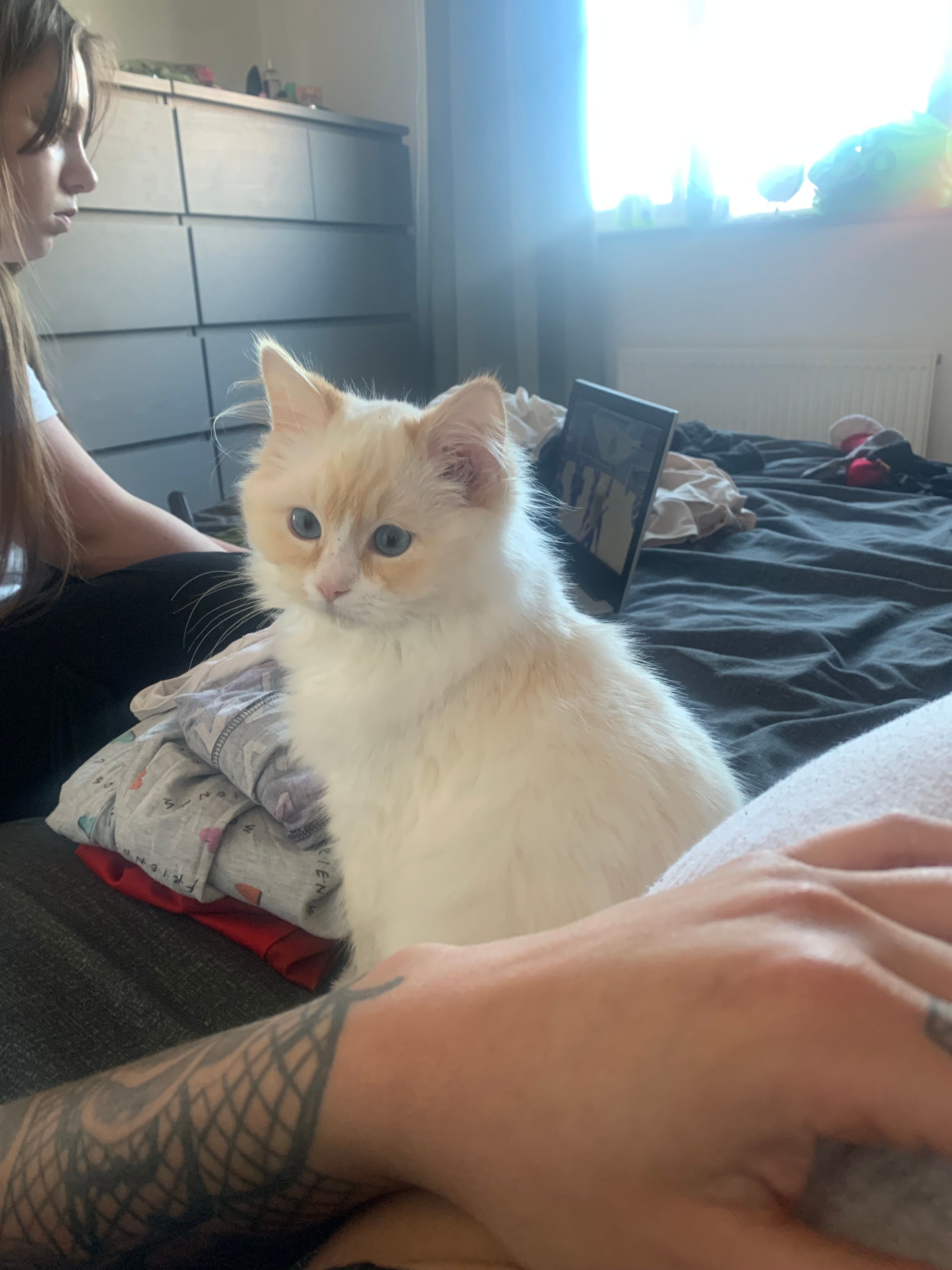 Neo - Lytton Street, Lincoln