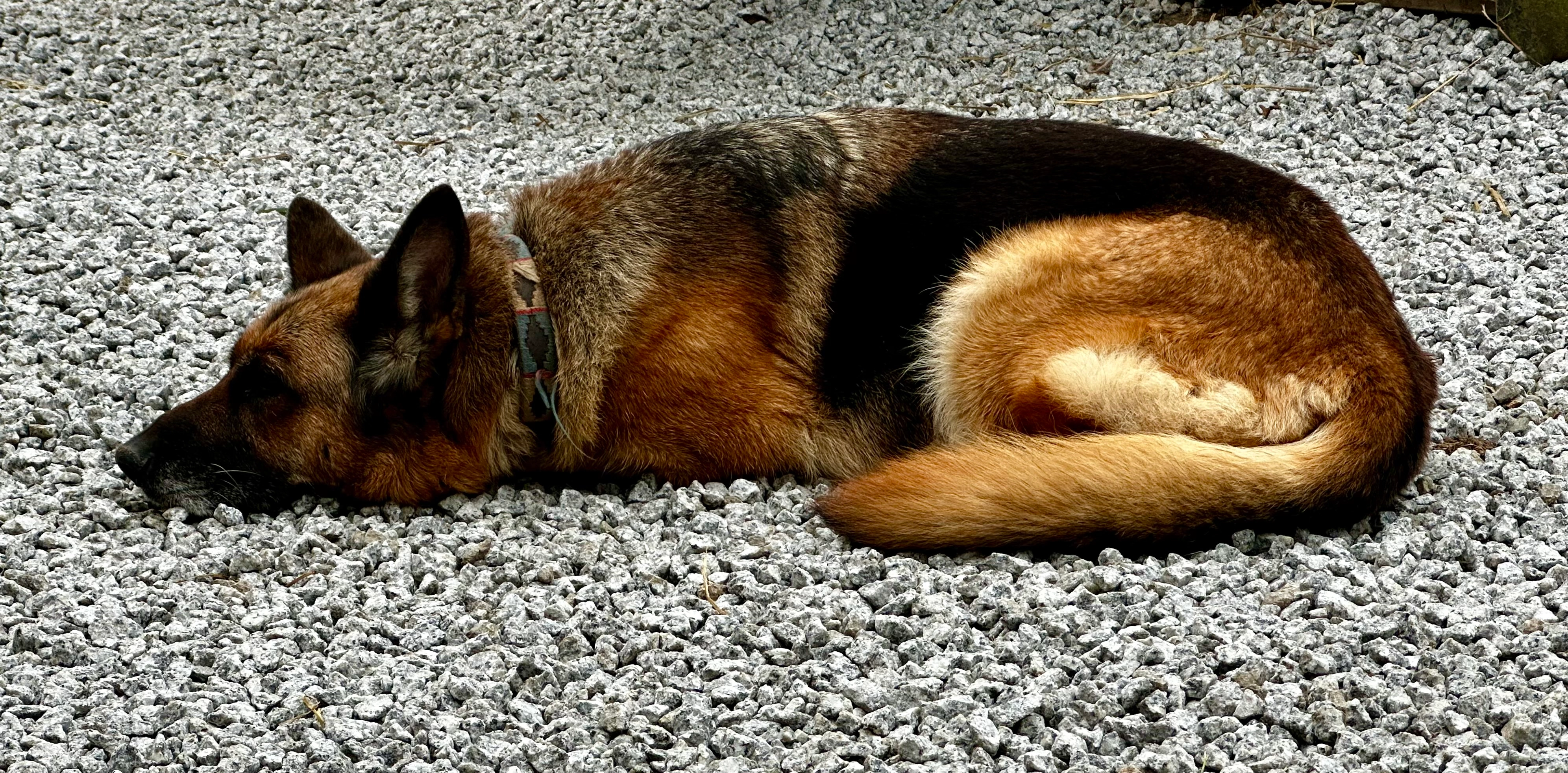 Azra - Old Carnon Hill, Truro