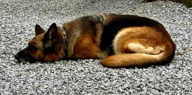 Azra - Old Carnon Hill, Truro