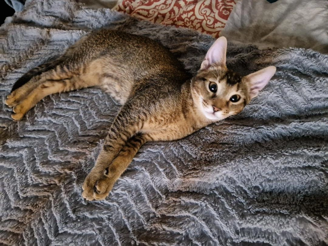 Lou - Kirchsteig 13, Nuthe-Urstromtal