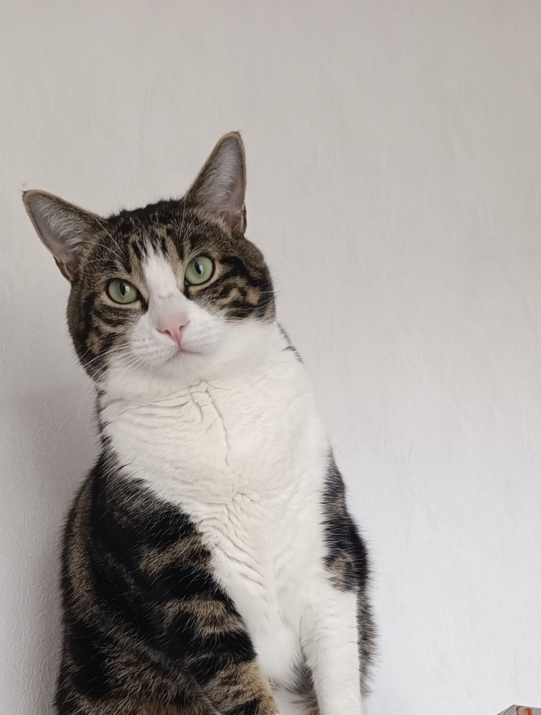 Sima - Trailfinger Straße, Münsingen