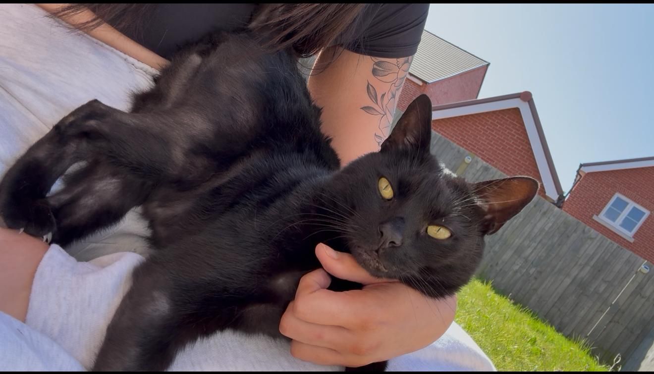 Shadow - Birch Close, Chichester