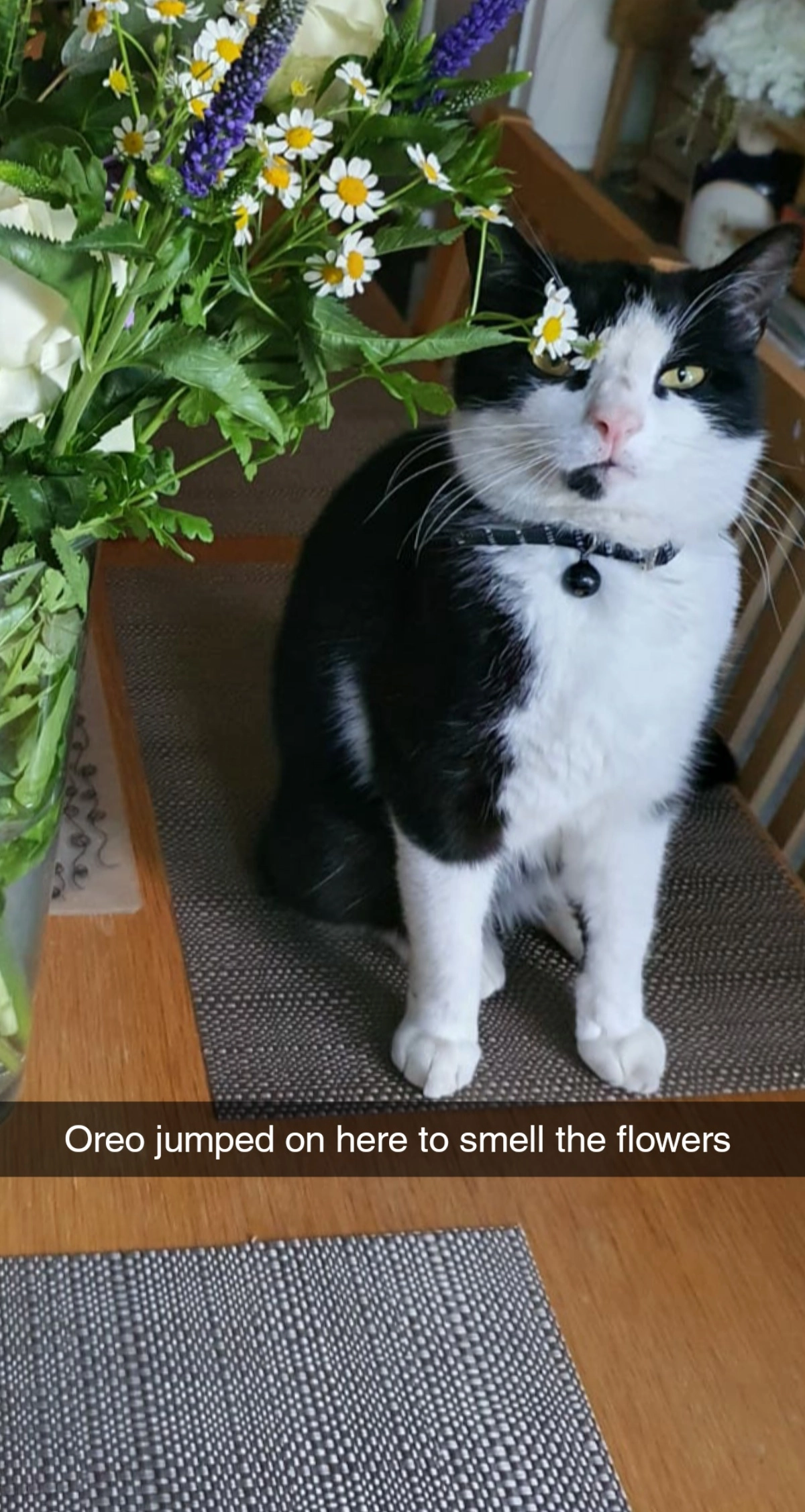 Oreo - Dewsbury Road, Luton