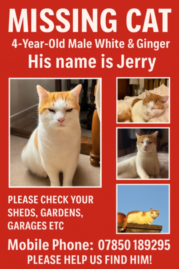 Jerry - NR29 5, Great Yarmouth