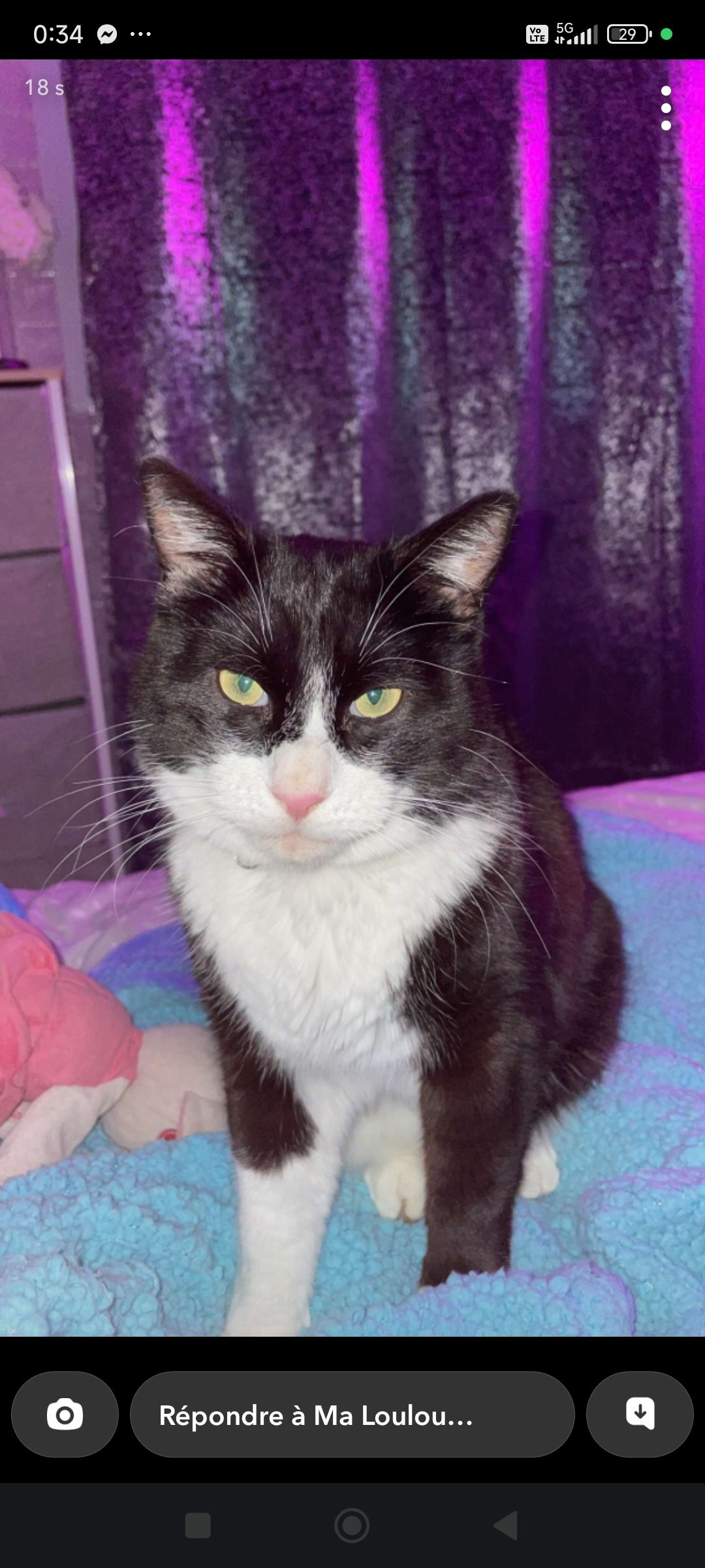 Prince - Rue Des Bleuets, Hauterive