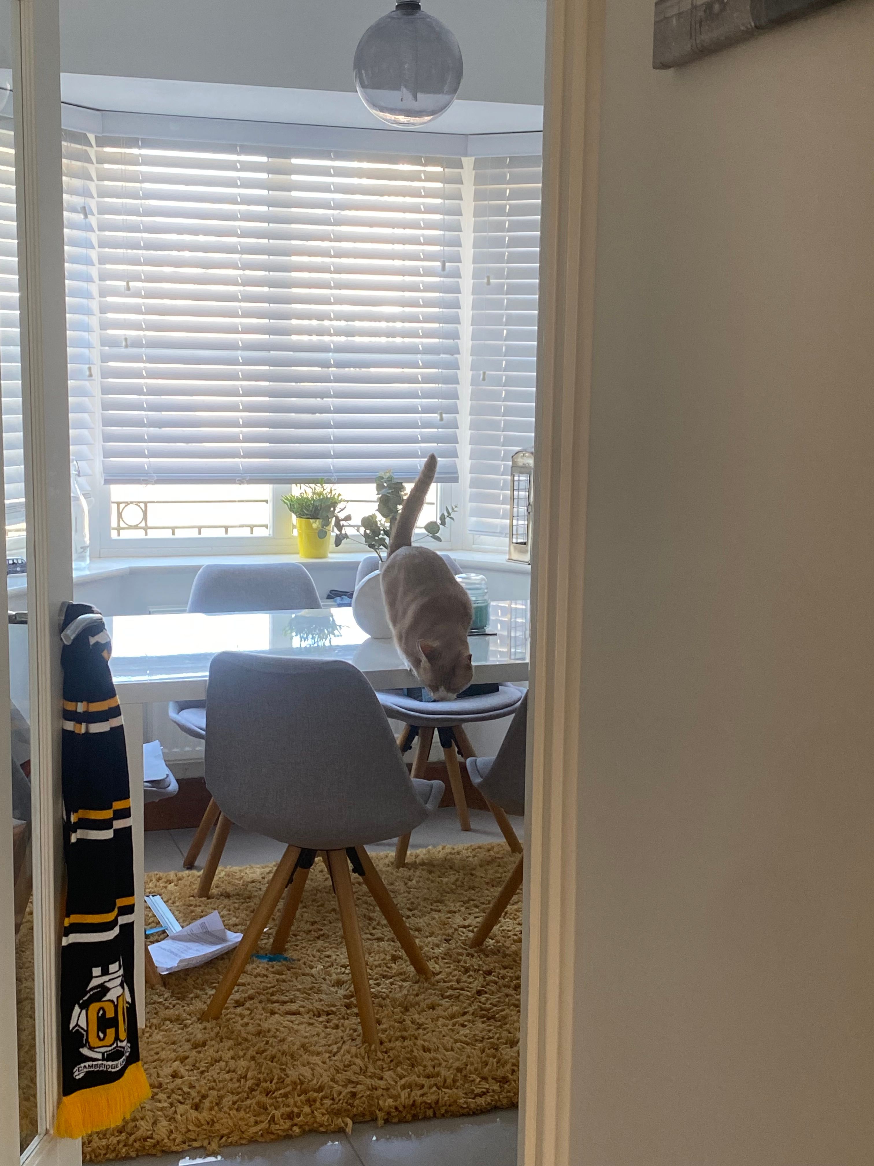 nala  - Chelmer Way, Ely