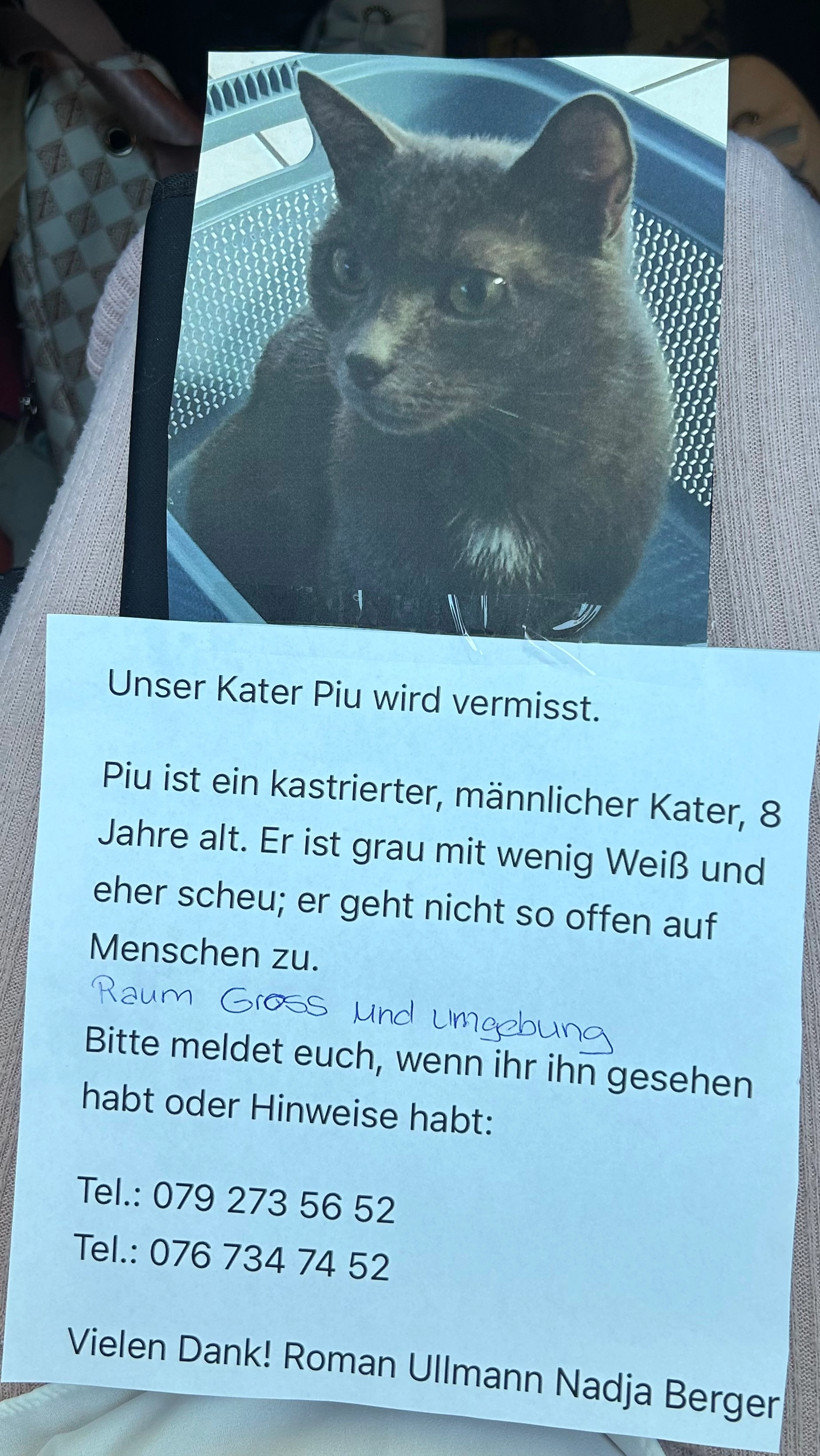 Piu - Schnetzerenbach 15, Einsiedeln