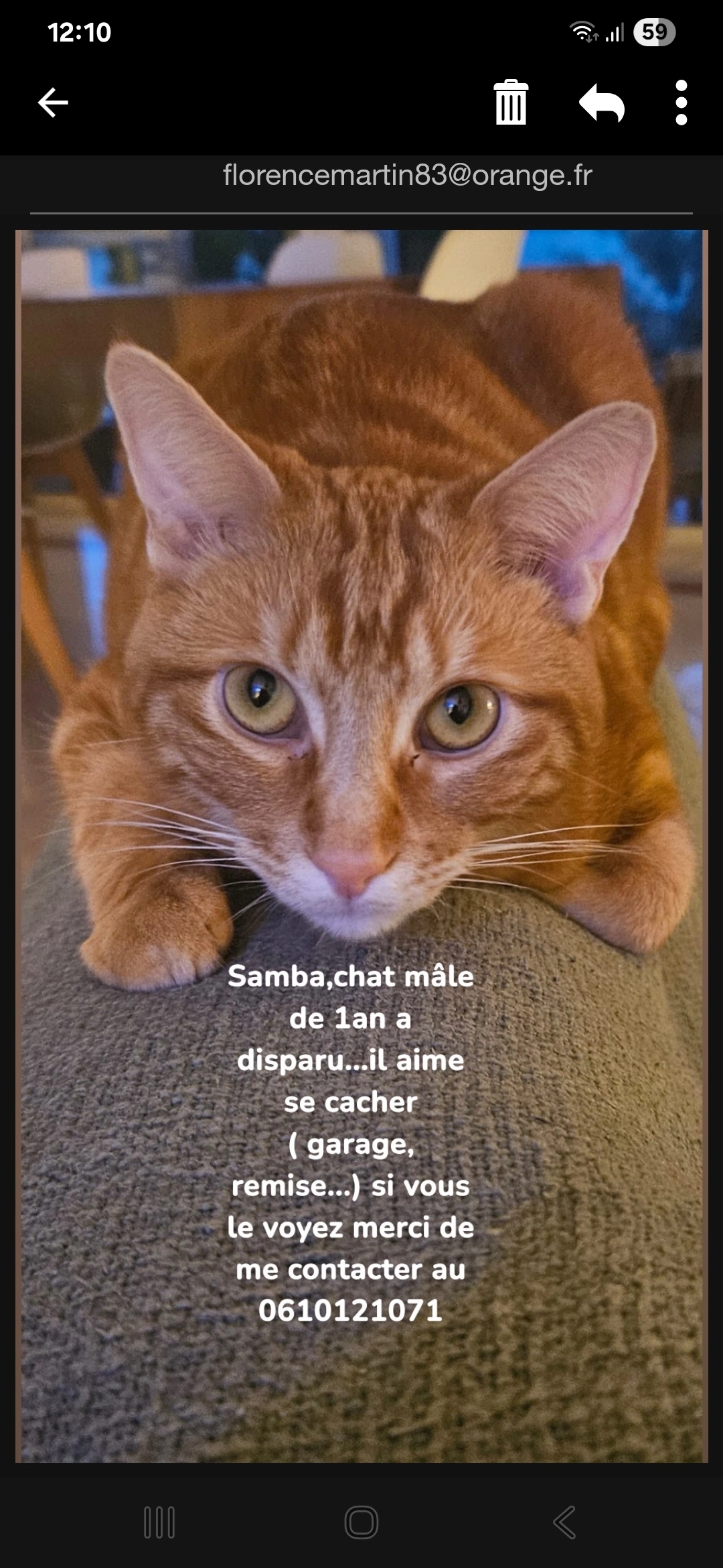 Samba - Avenue Louis Imbert, La Valette-du-Var