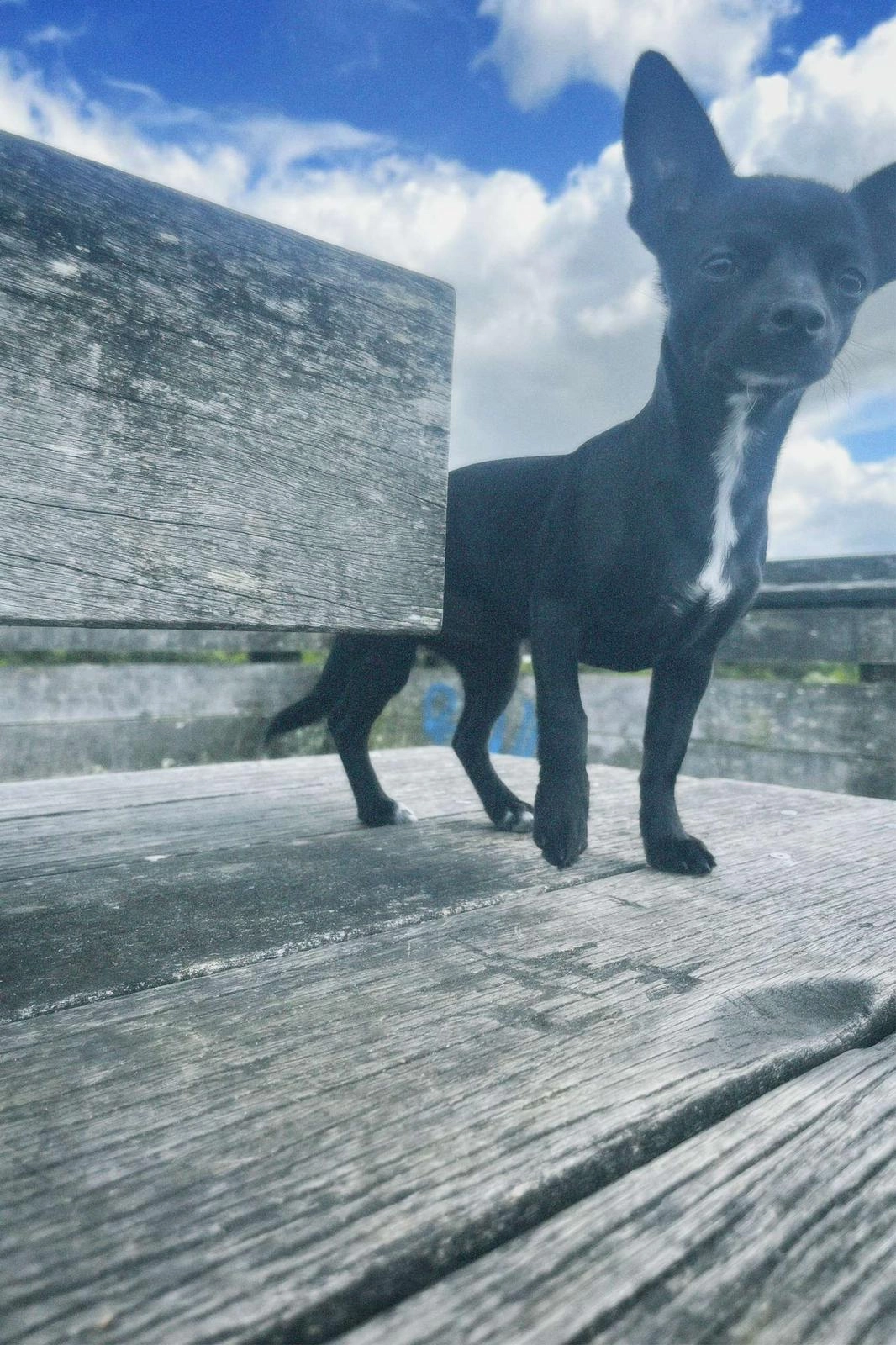 Nala - Cité du Grand Parc, Bordeaux