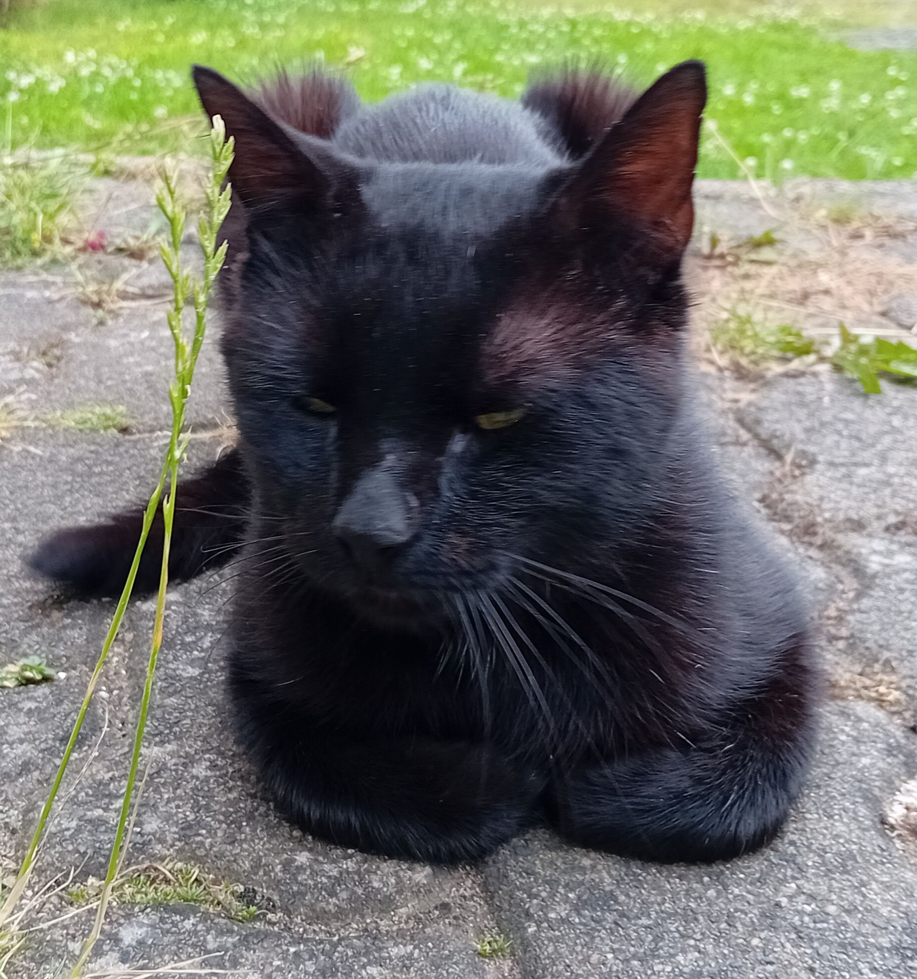 Max - Ernst-Thälmann-Straße, Luisenthal